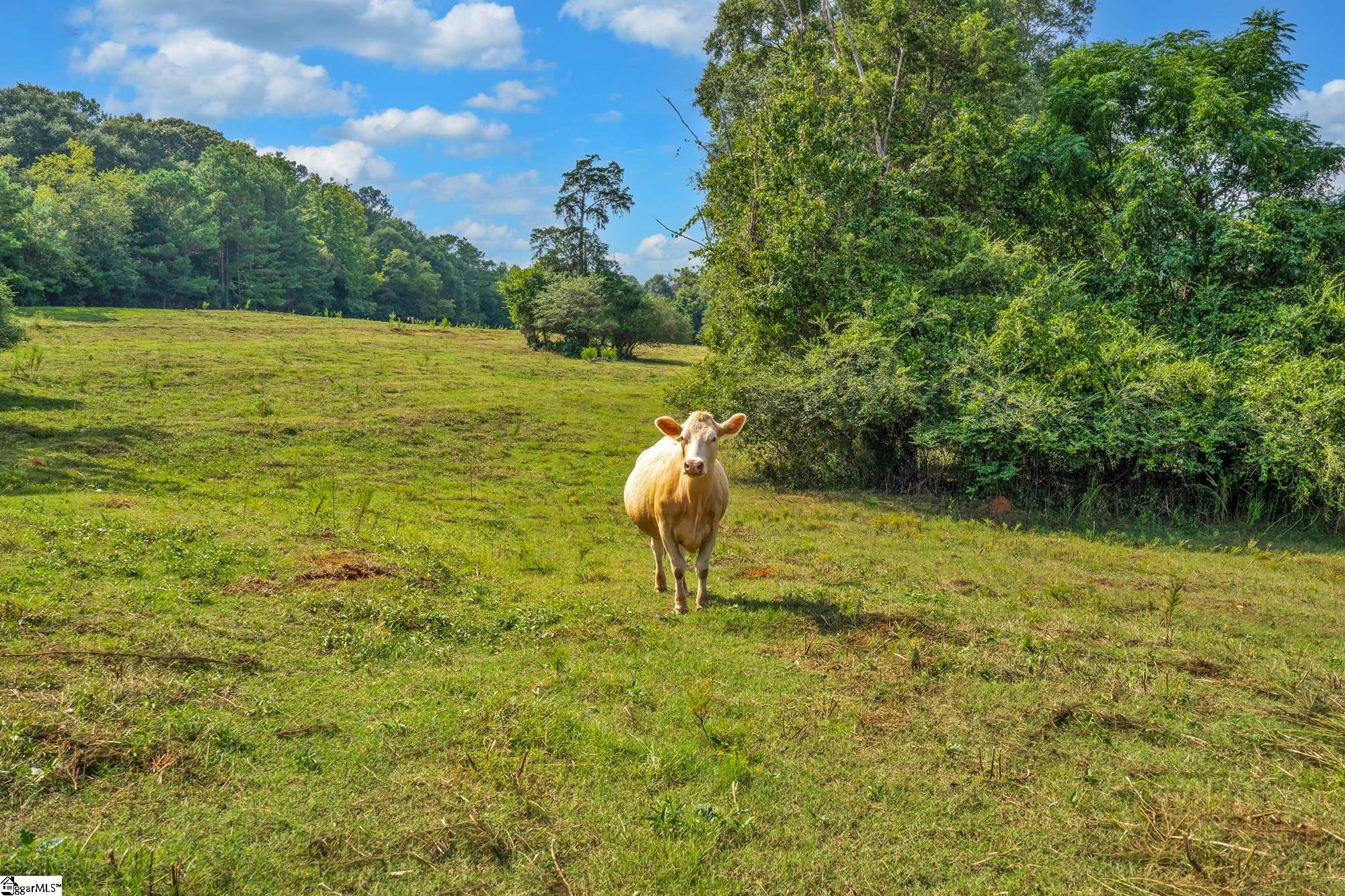143 George Merck Road Anderson, SC 29626