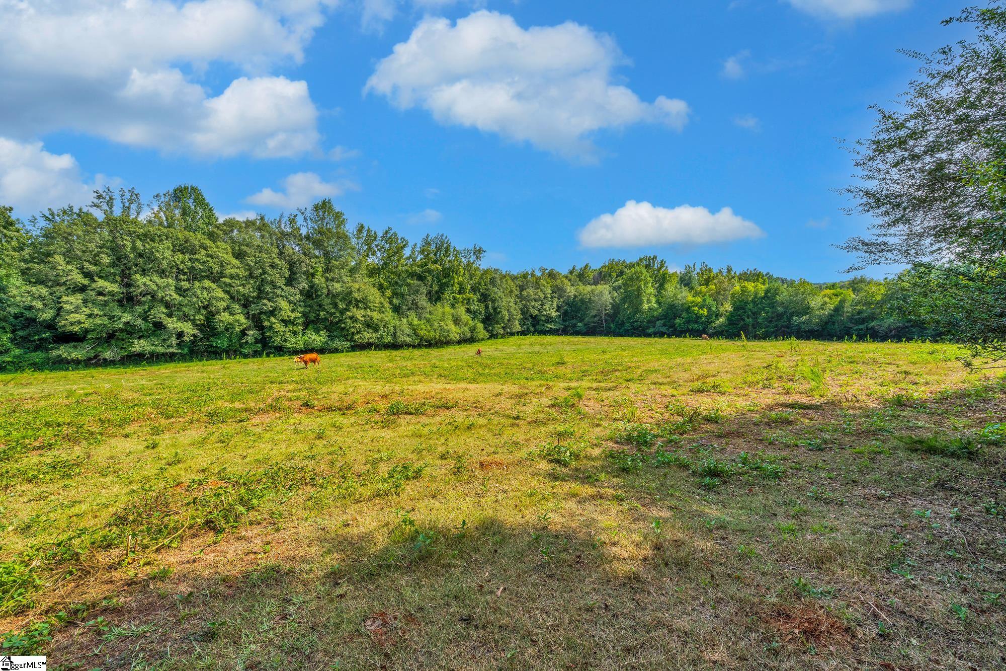 143 George Merck Road Anderson, SC 29626