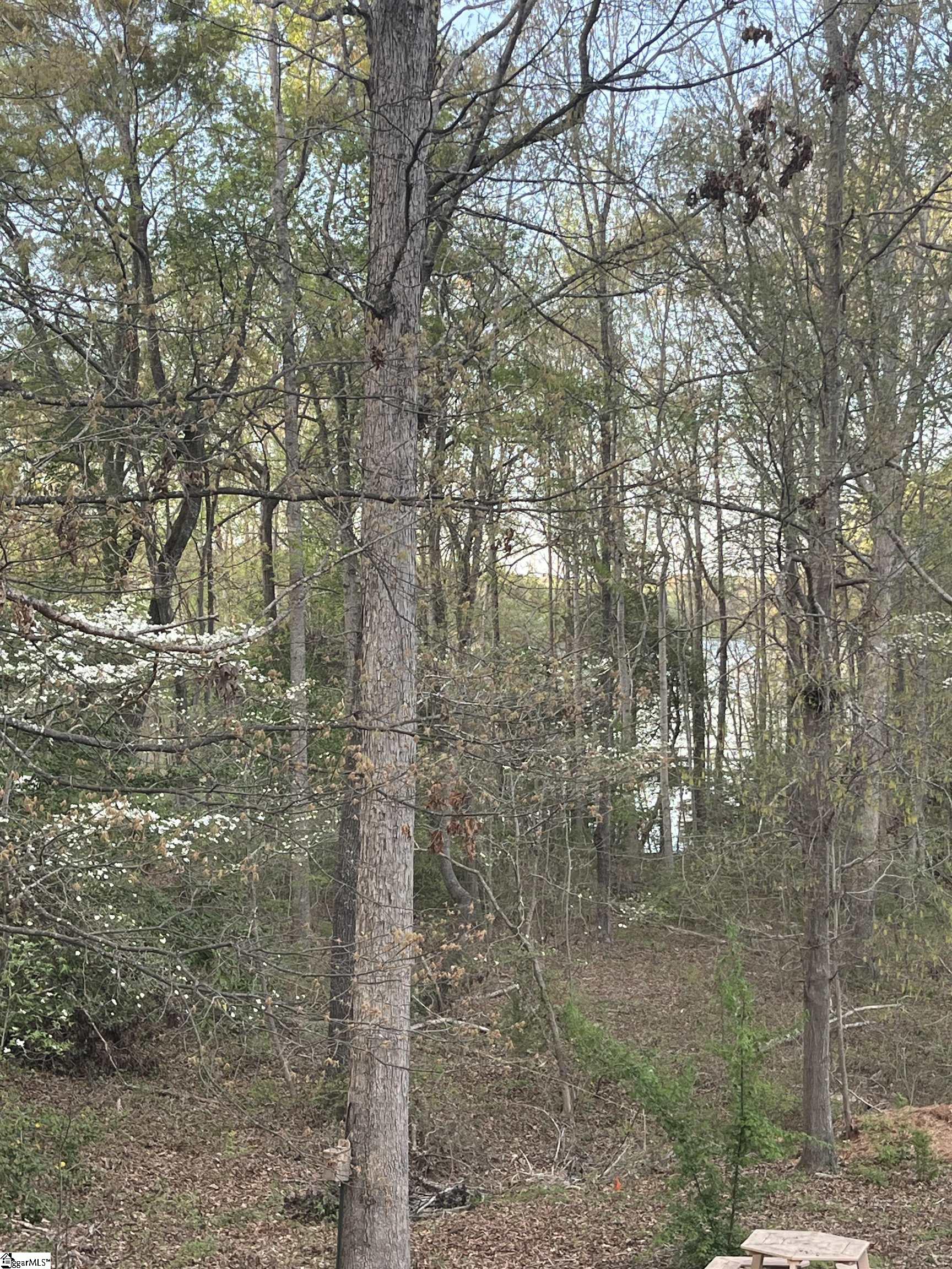 27 King Eider Way Taylors, SC 29687