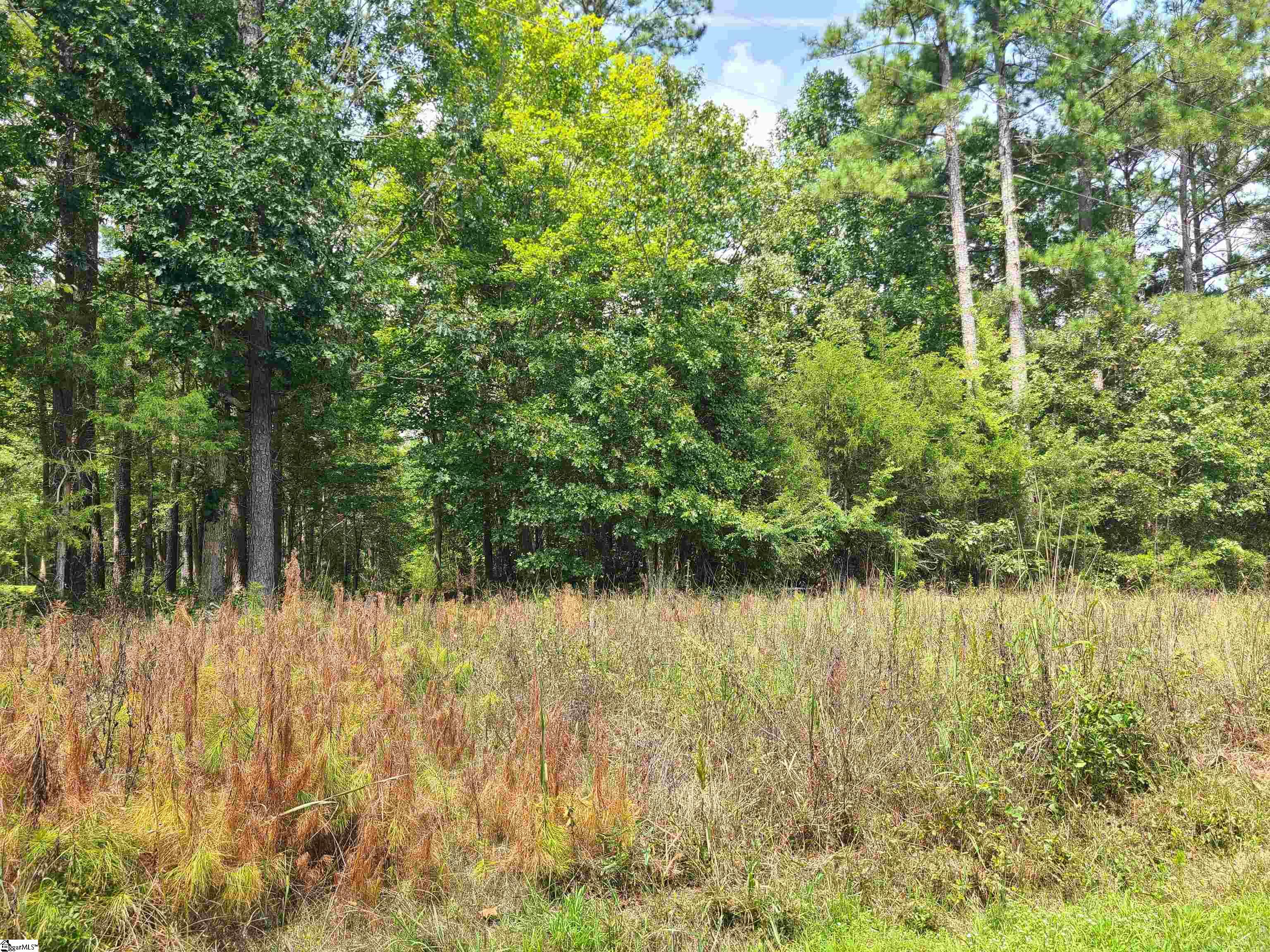 Deer Valley Road Waterloo, SC 29384