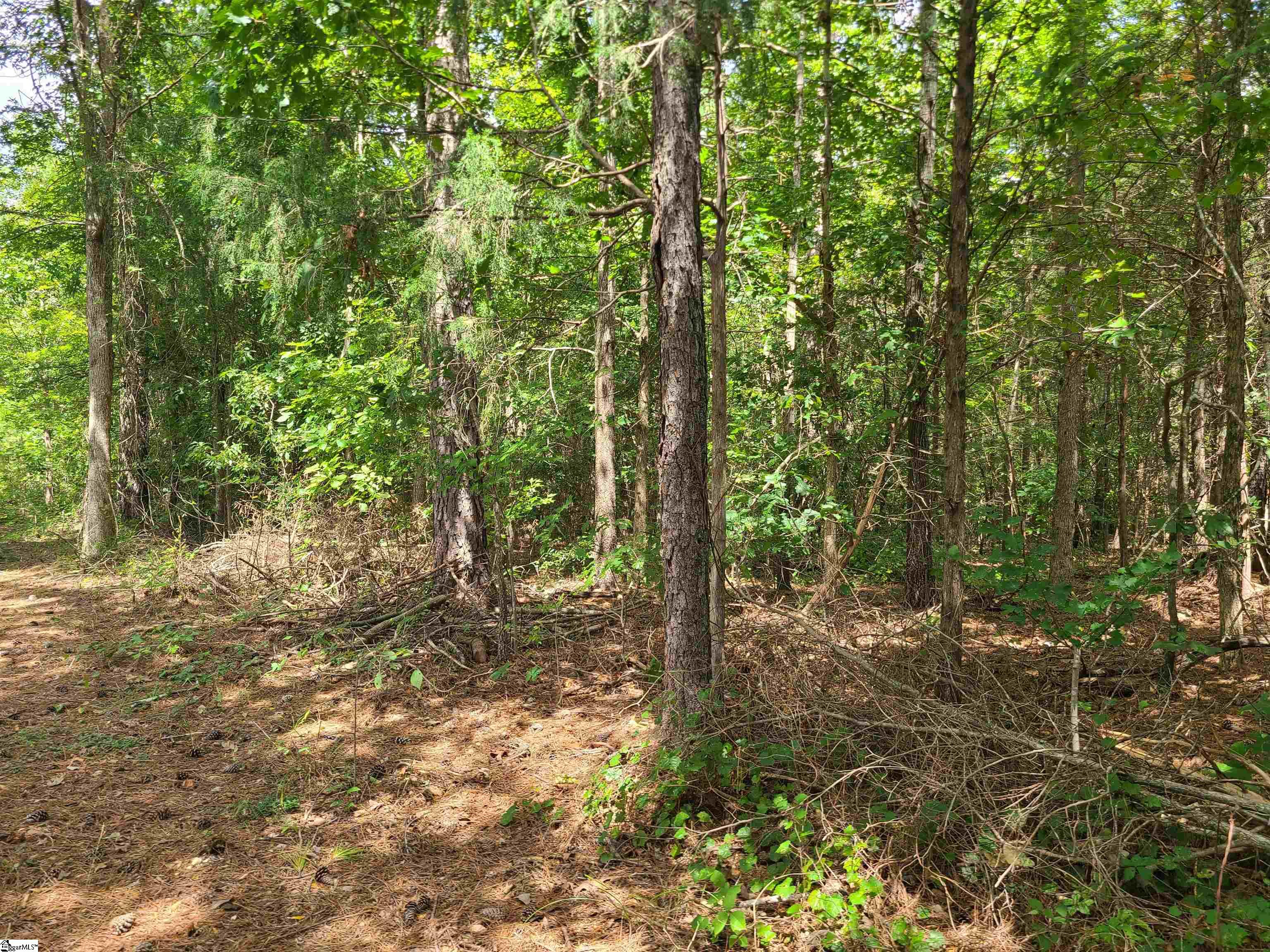 Deer Valley Road Waterloo, SC 29384