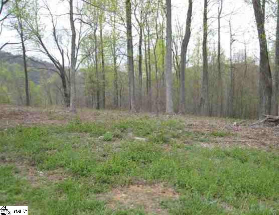 00 Raven Road Landrum, SC 29356