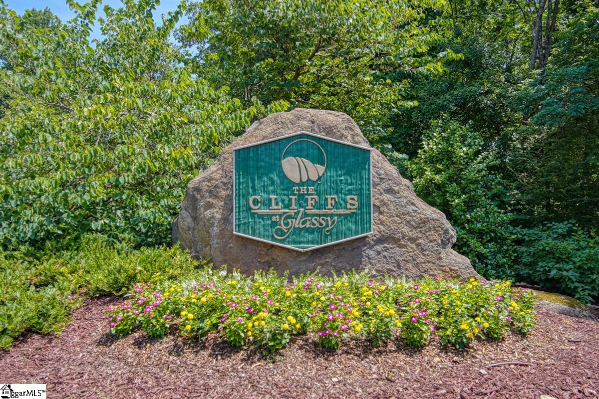 00 Raven Road Landrum, SC 29356