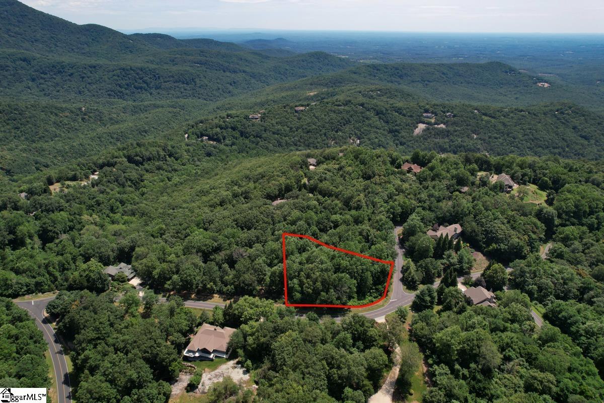 00 Raven Road Landrum, SC 29356