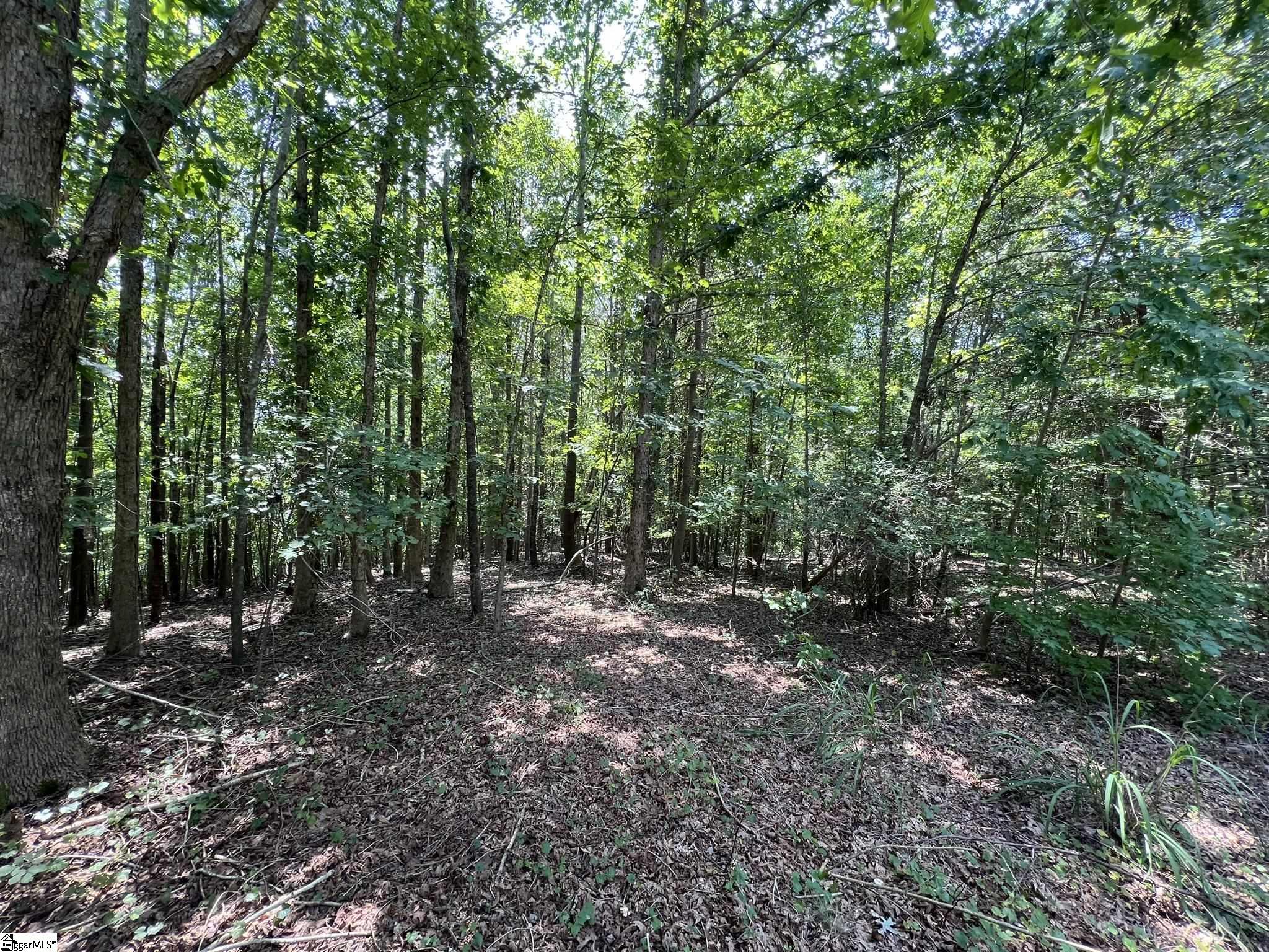 00 Rock Hill Road Fair Play, SC 29643