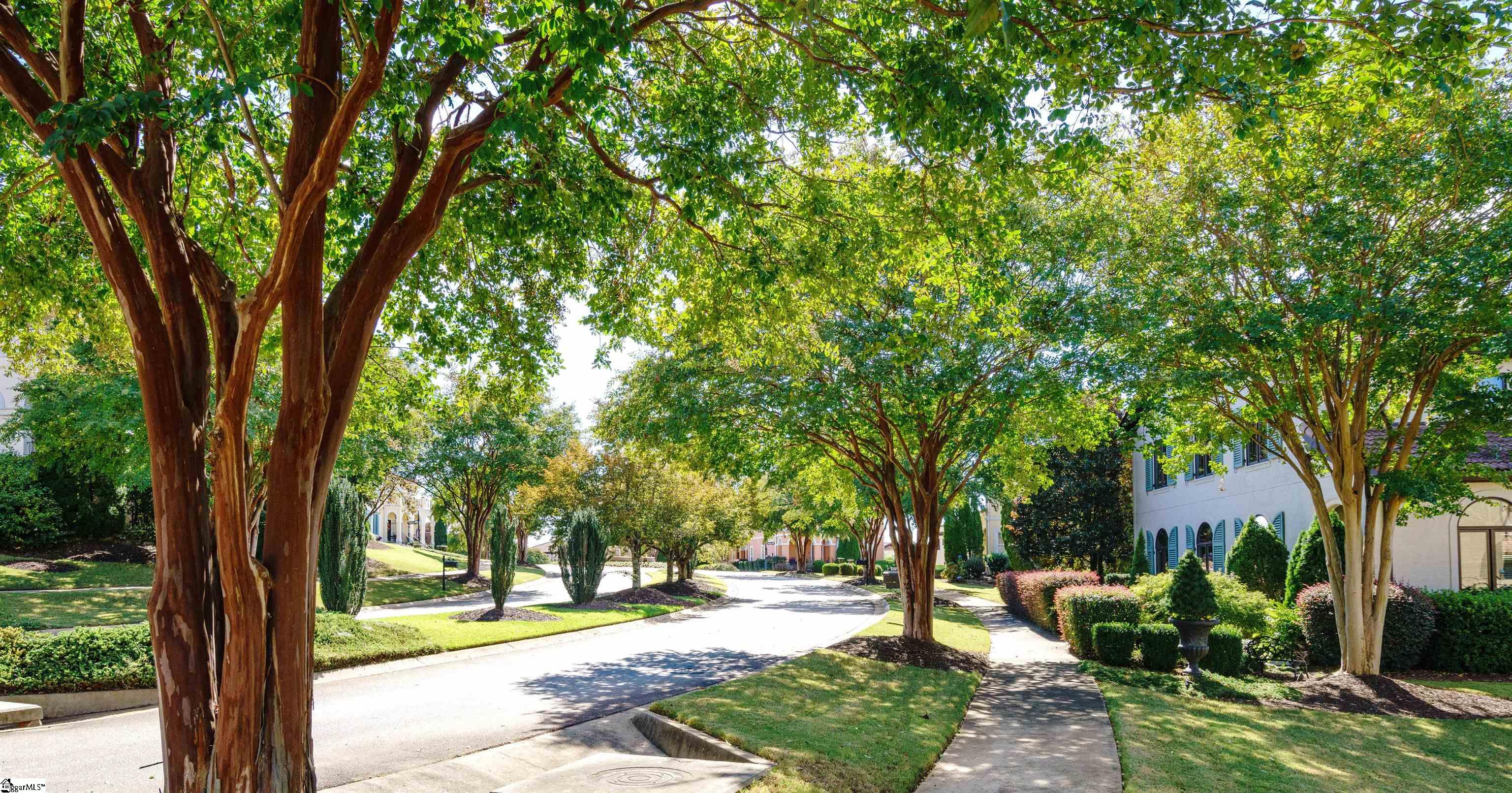 204 Lucca Drive Greenville, SC 29609