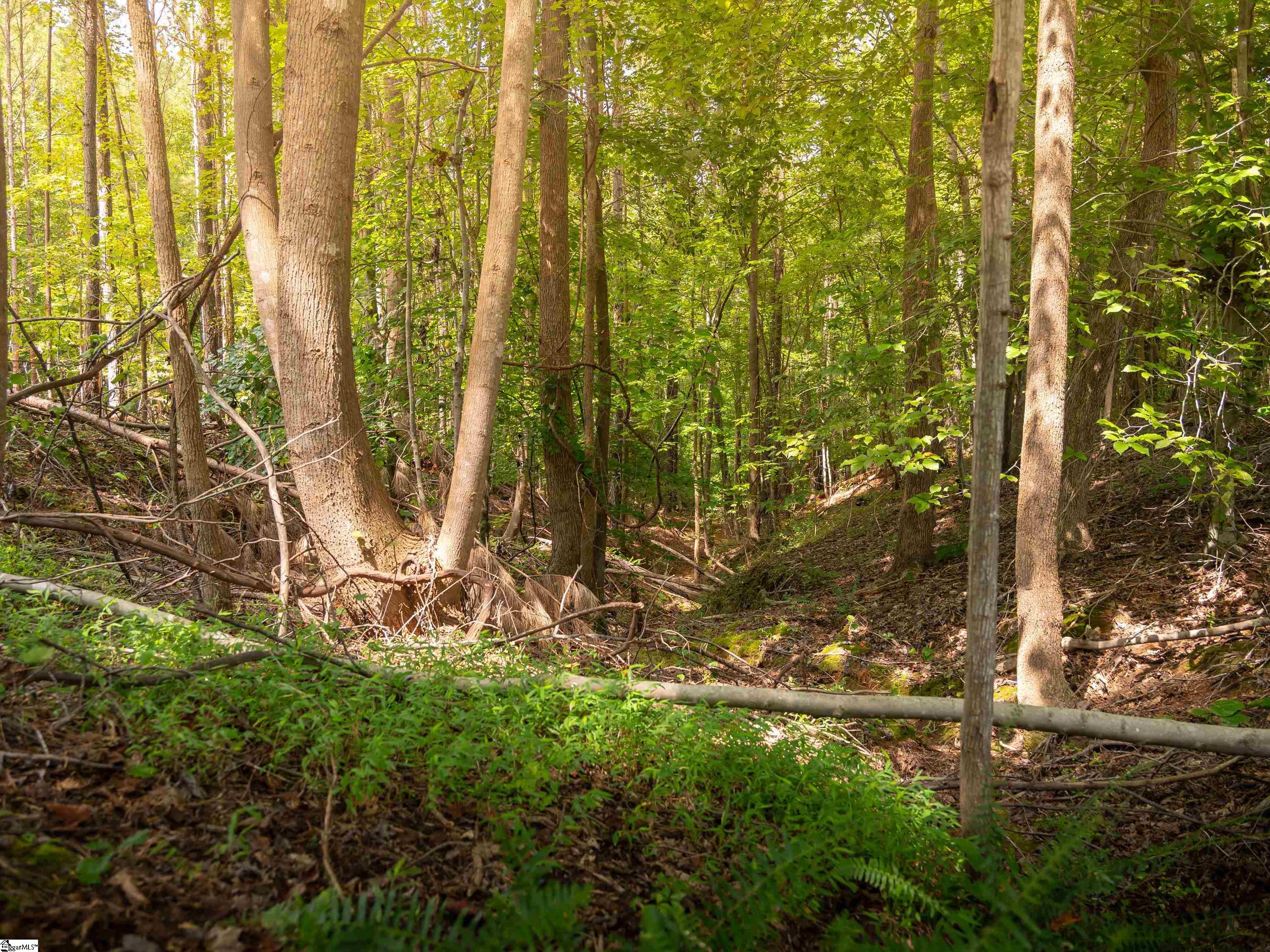 01 Neal Shoals Road Union, SC 29379