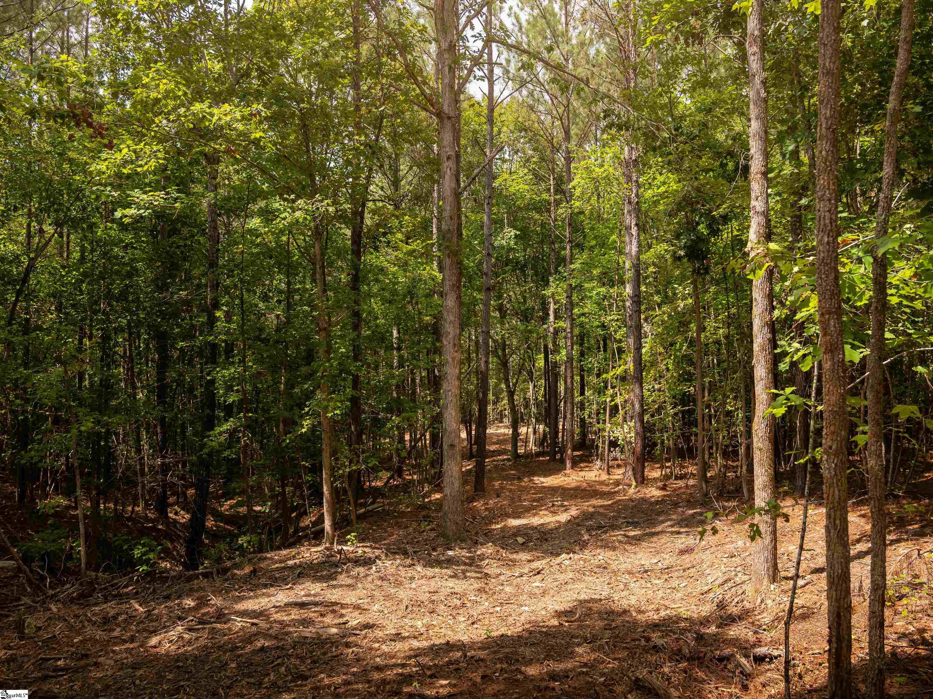 08 Neal Shoals Road Union, SC 29379