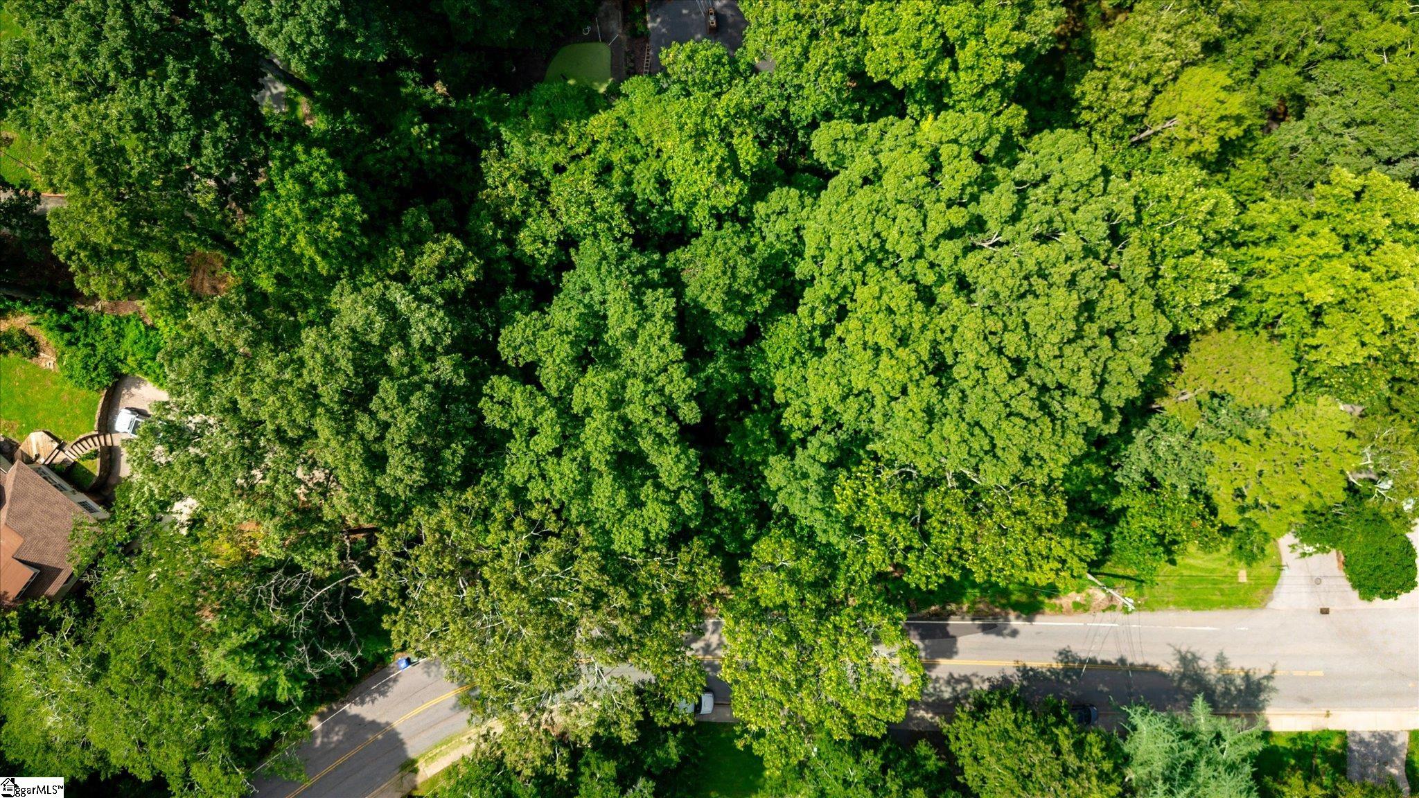 205 Woodland Way Greenville, SC 29607