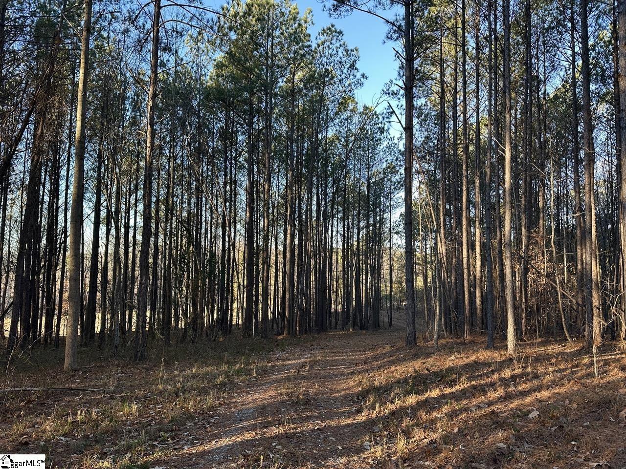 2539 / Blue Ridge Highway Walhalla, SC 29691