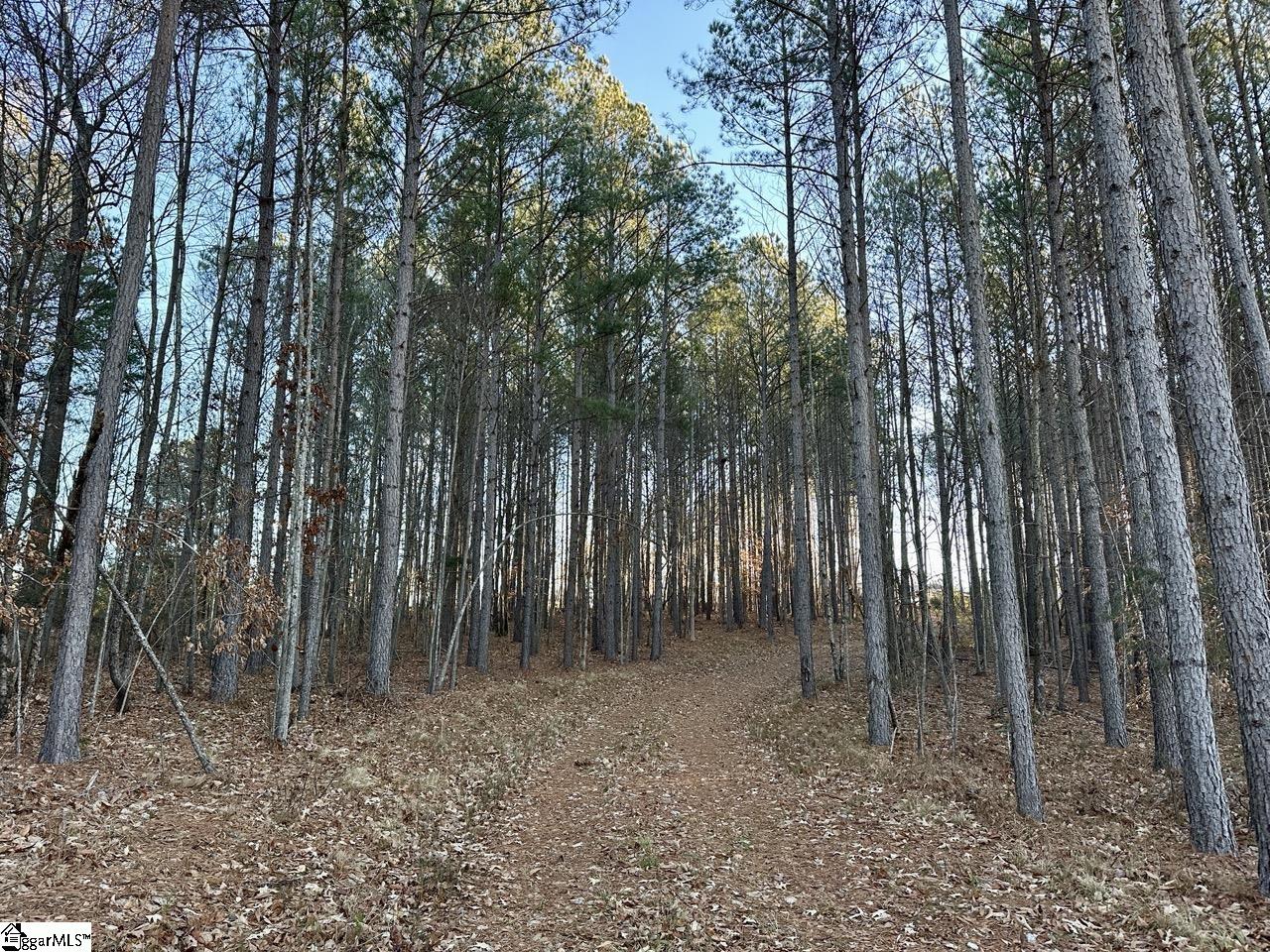 2539 / Blue Ridge Highway Walhalla, SC 29691