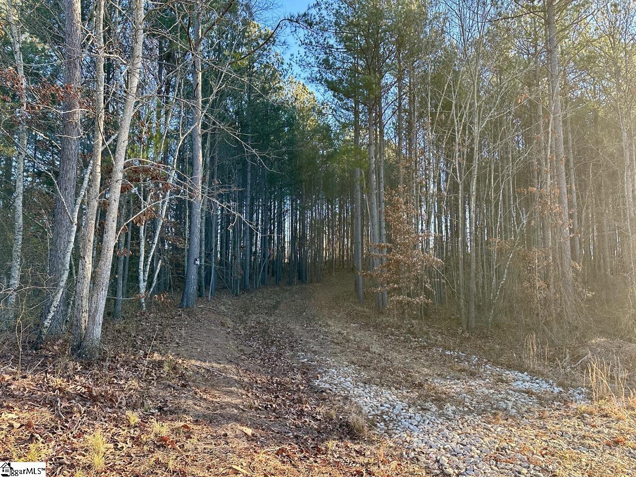 2539 / Blue Ridge Highway Walhalla, SC 29691