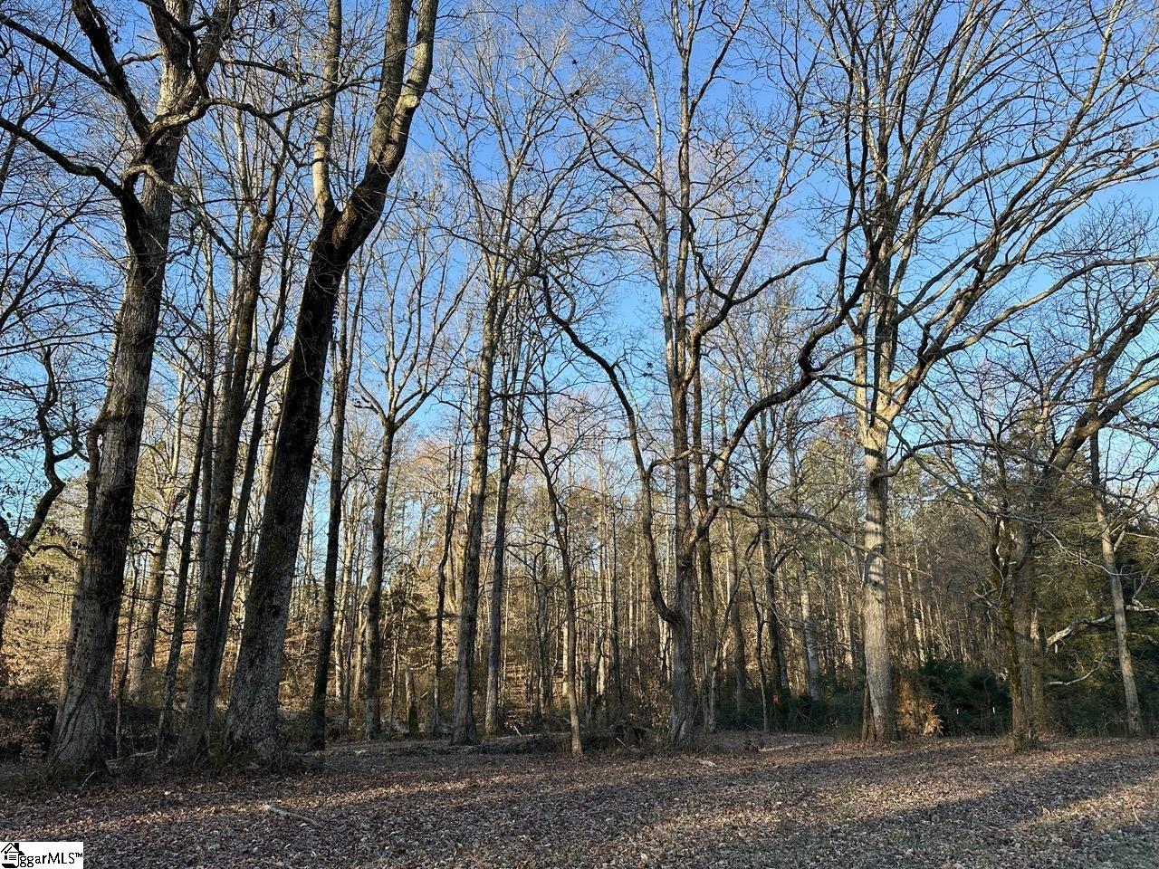 2539 / Blue Ridge Highway Walhalla, SC 29691