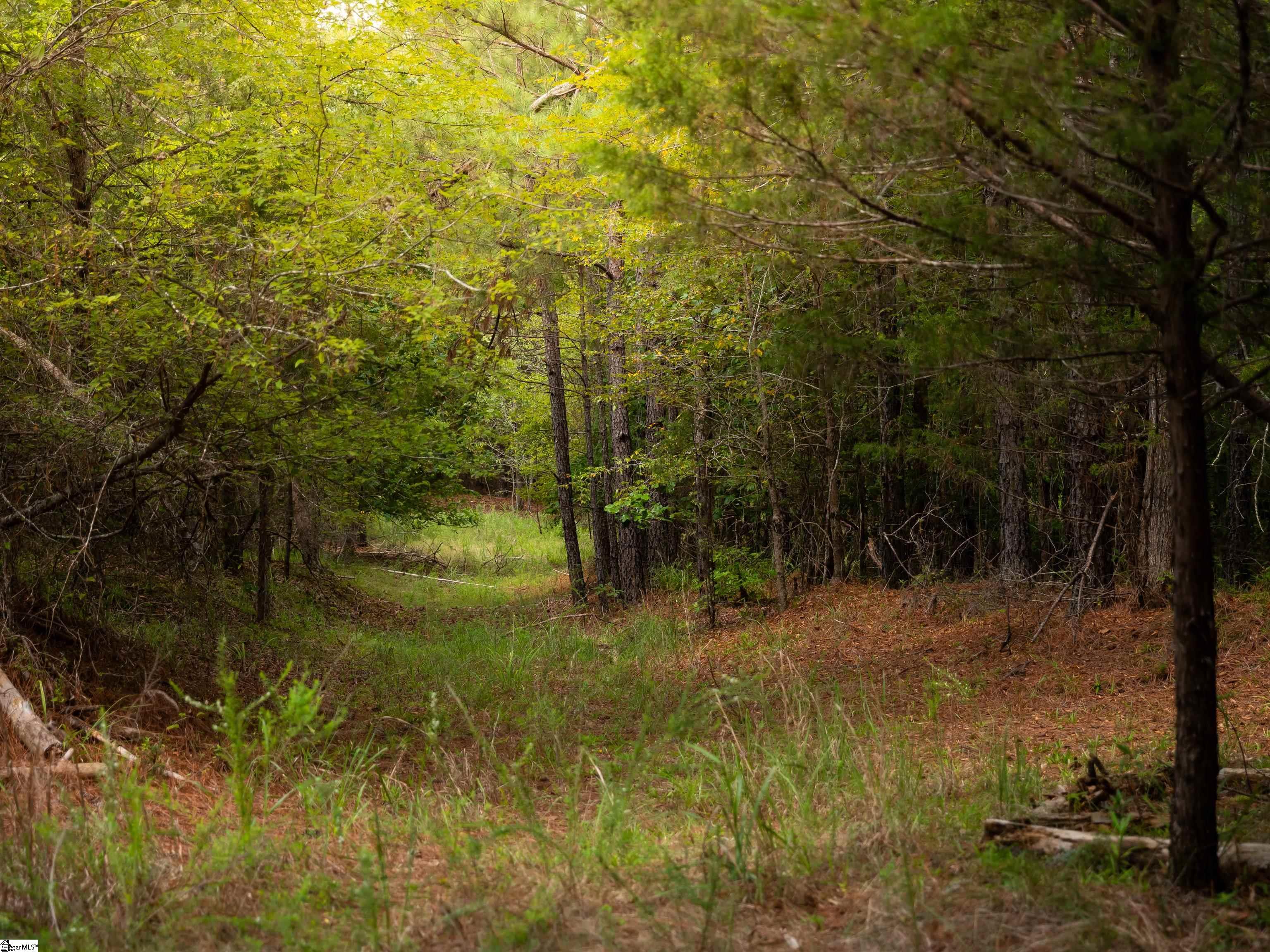 02 Neal Shoals Road Union, SC 29379