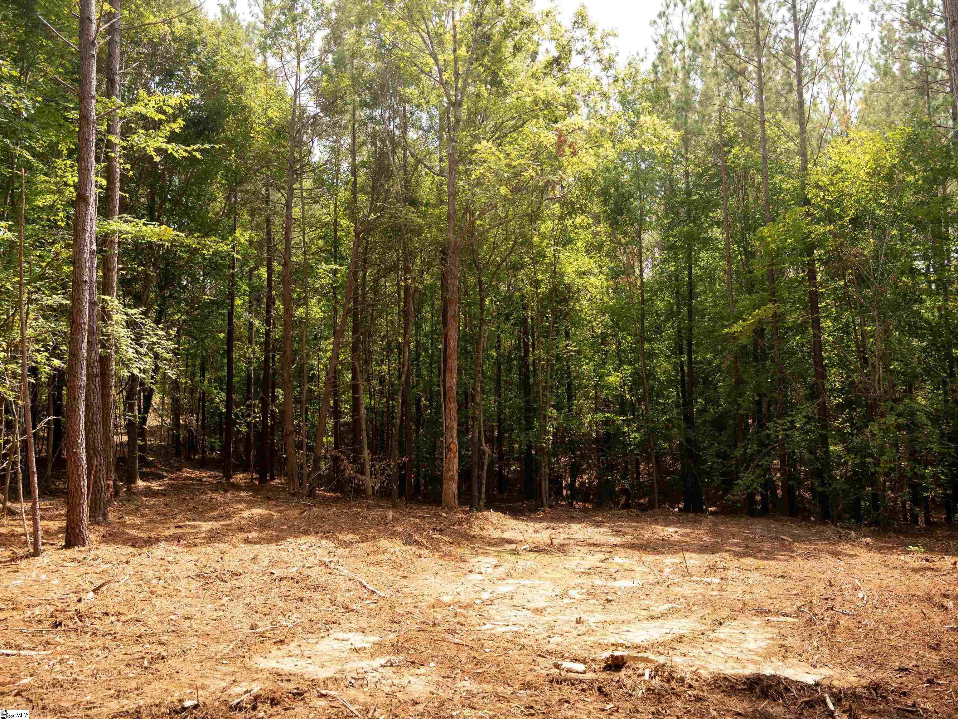 02 Neal Shoals Road Union, SC 29379