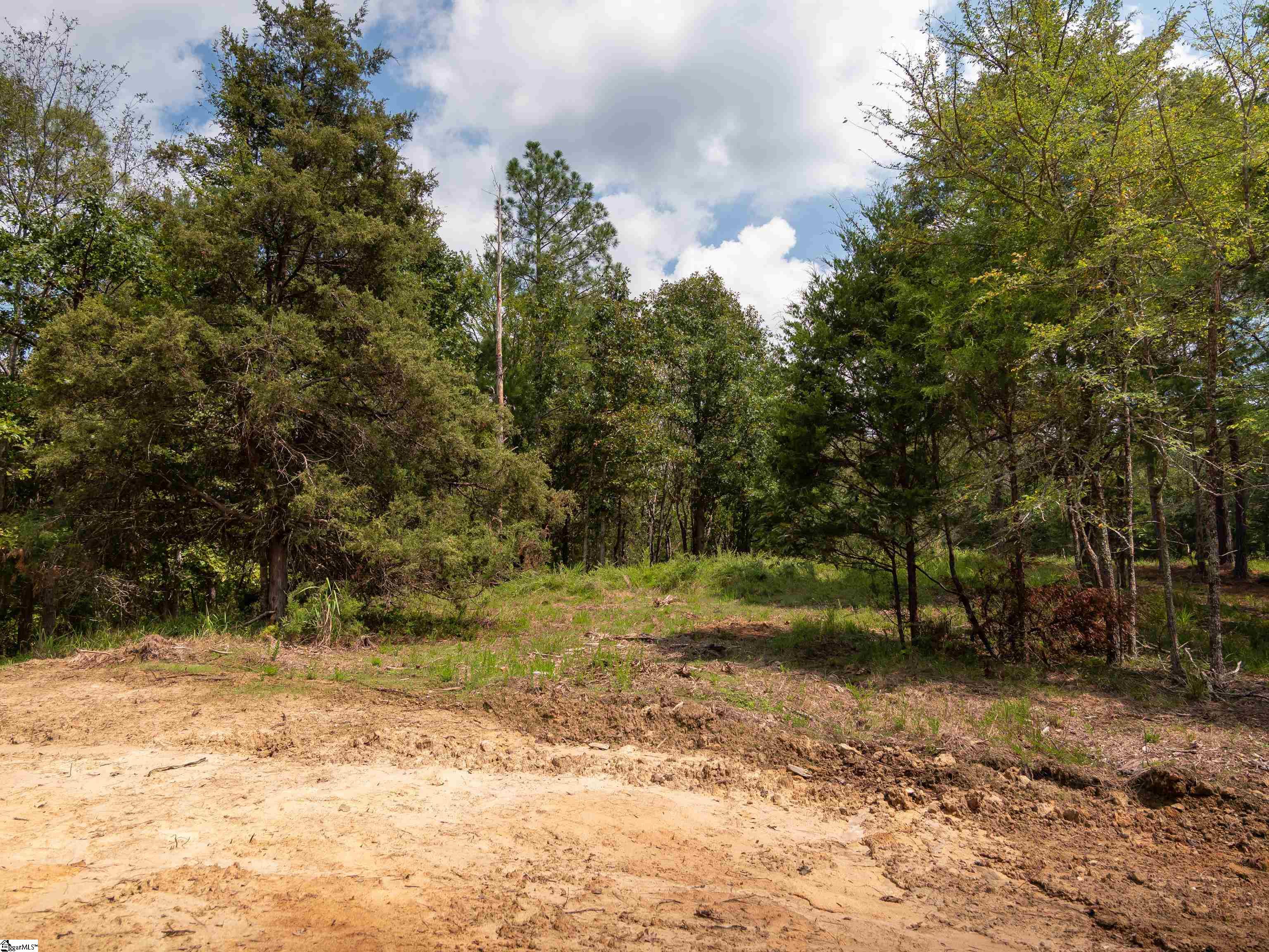 09 Neal Shoals Road Union, SC 29379