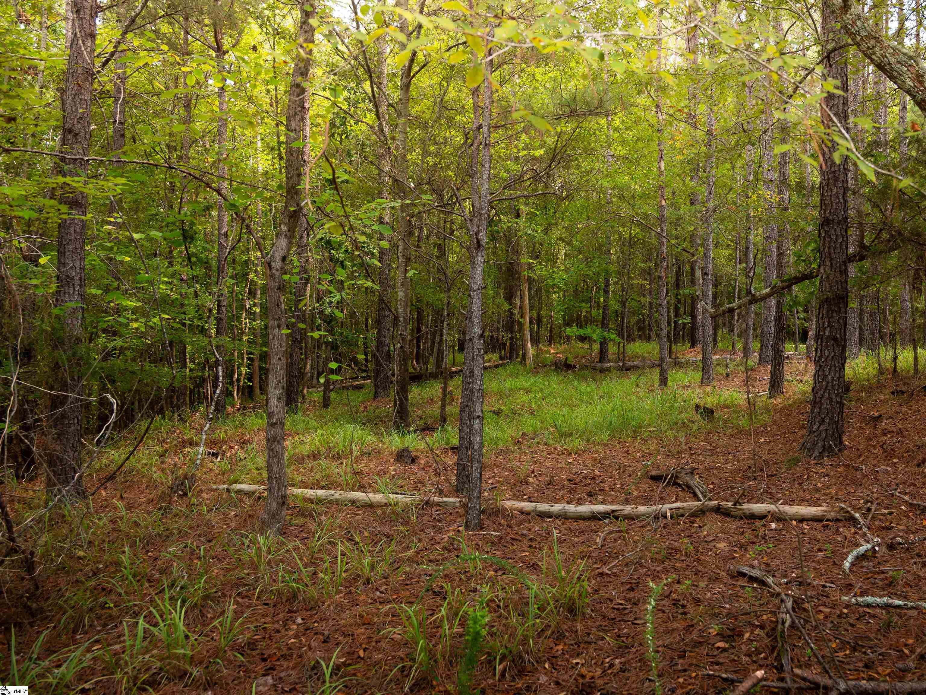 09 Neal Shoals Road Union, SC 29379