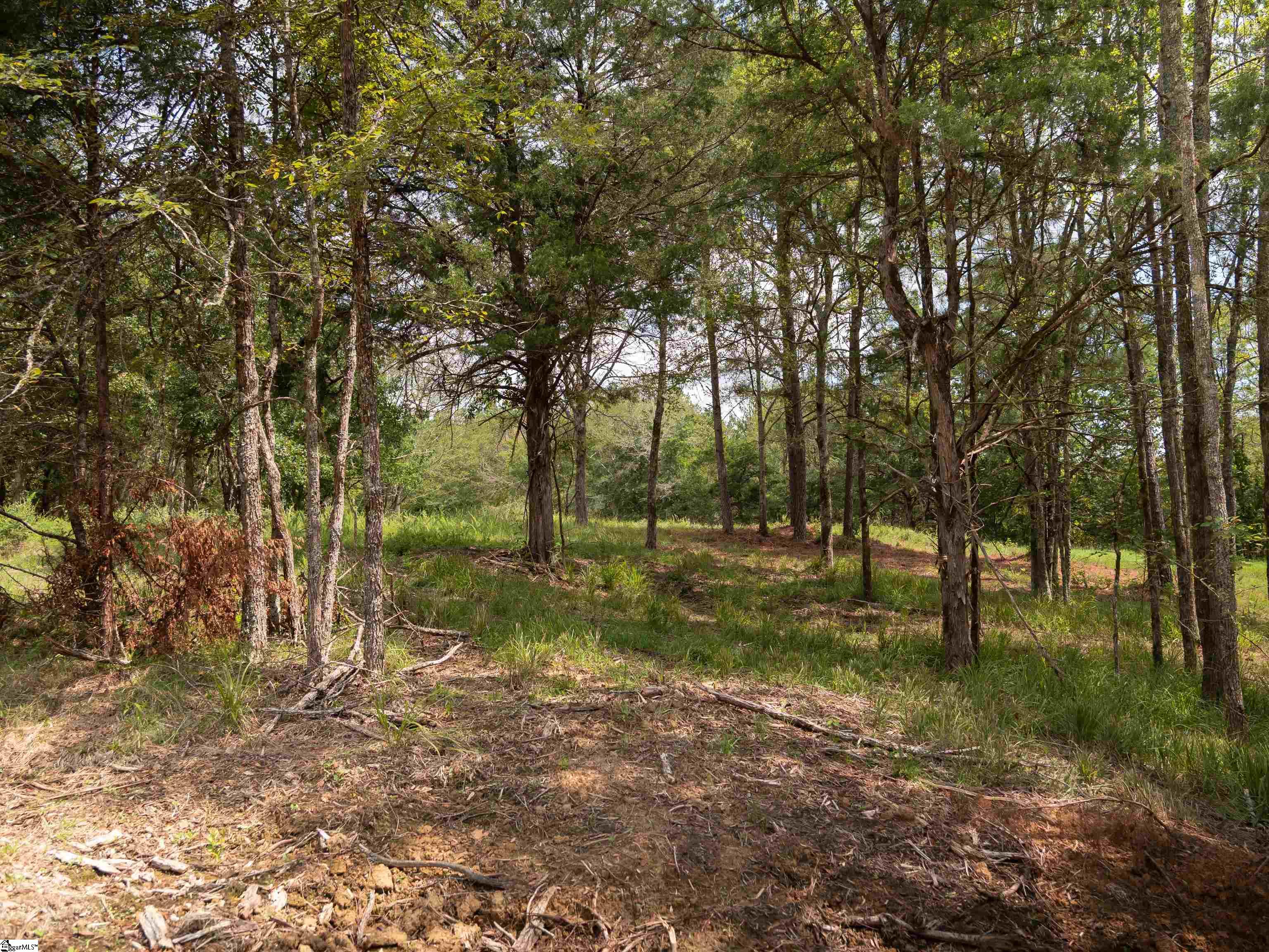 09 Neal Shoals Road Union, SC 29379