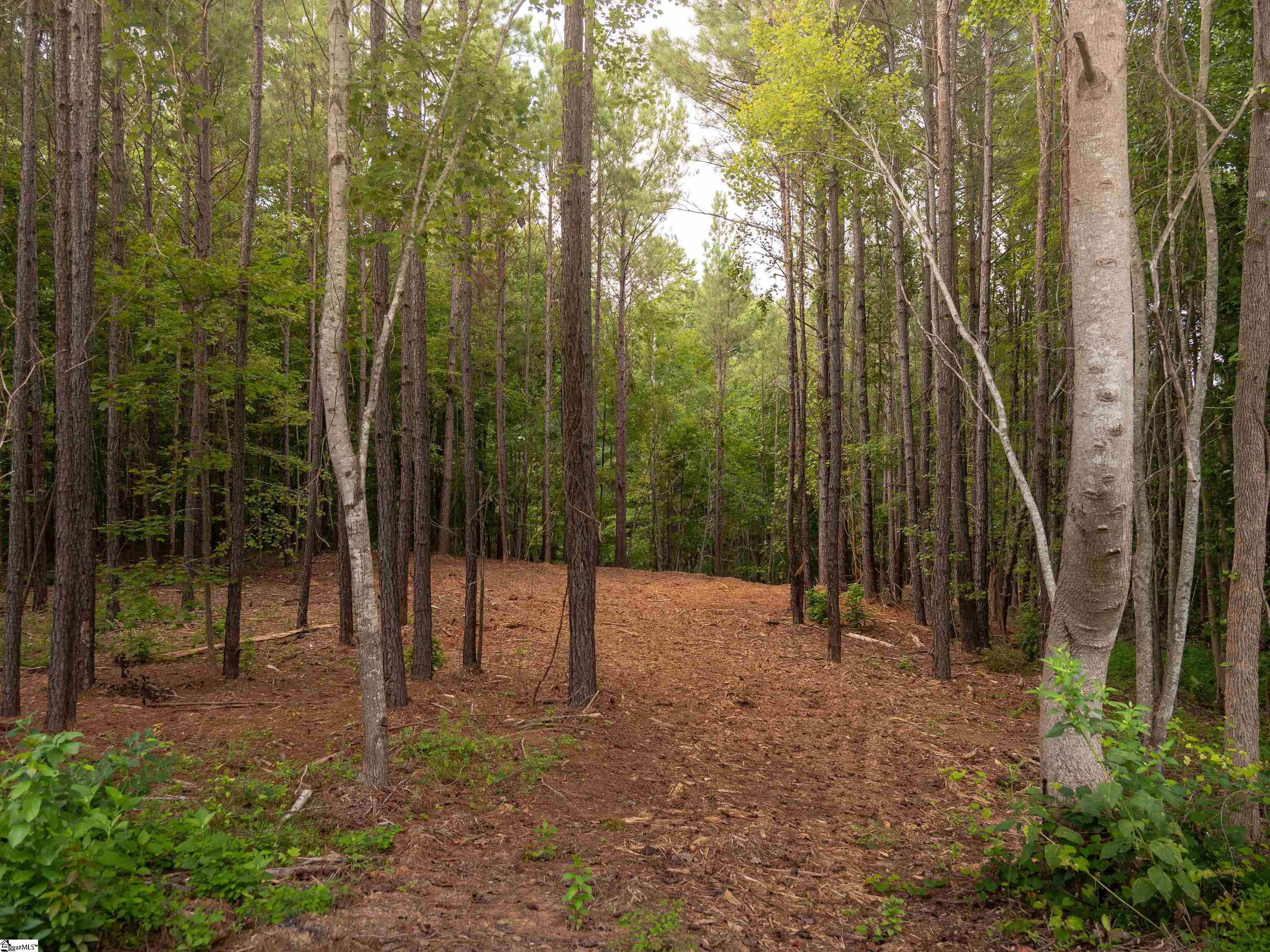 09 Neal Shoals Road Union, SC 29379