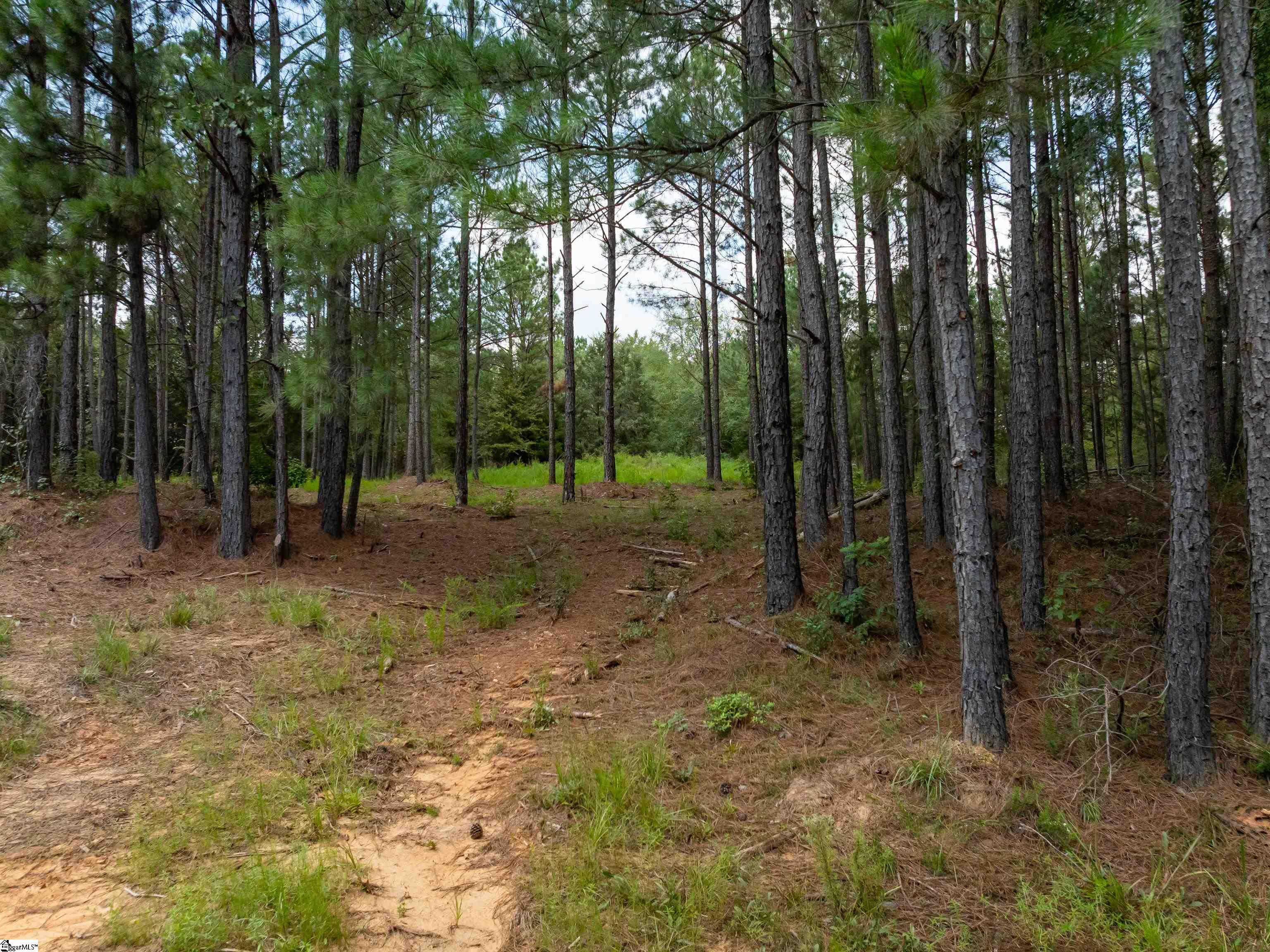 09 Neal Shoals Road Union, SC 29379