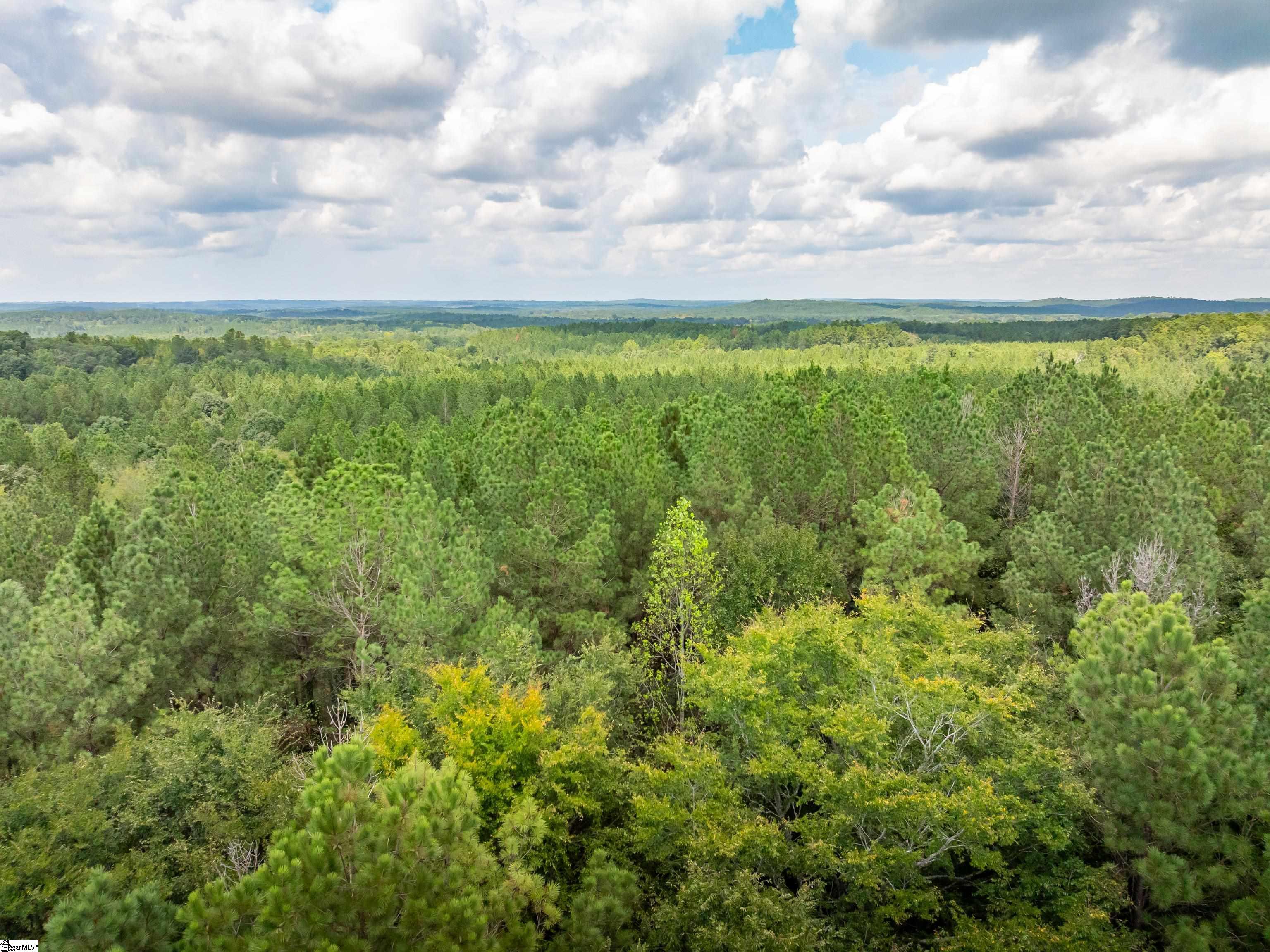 09 Neal Shoals Road Union, SC 29379