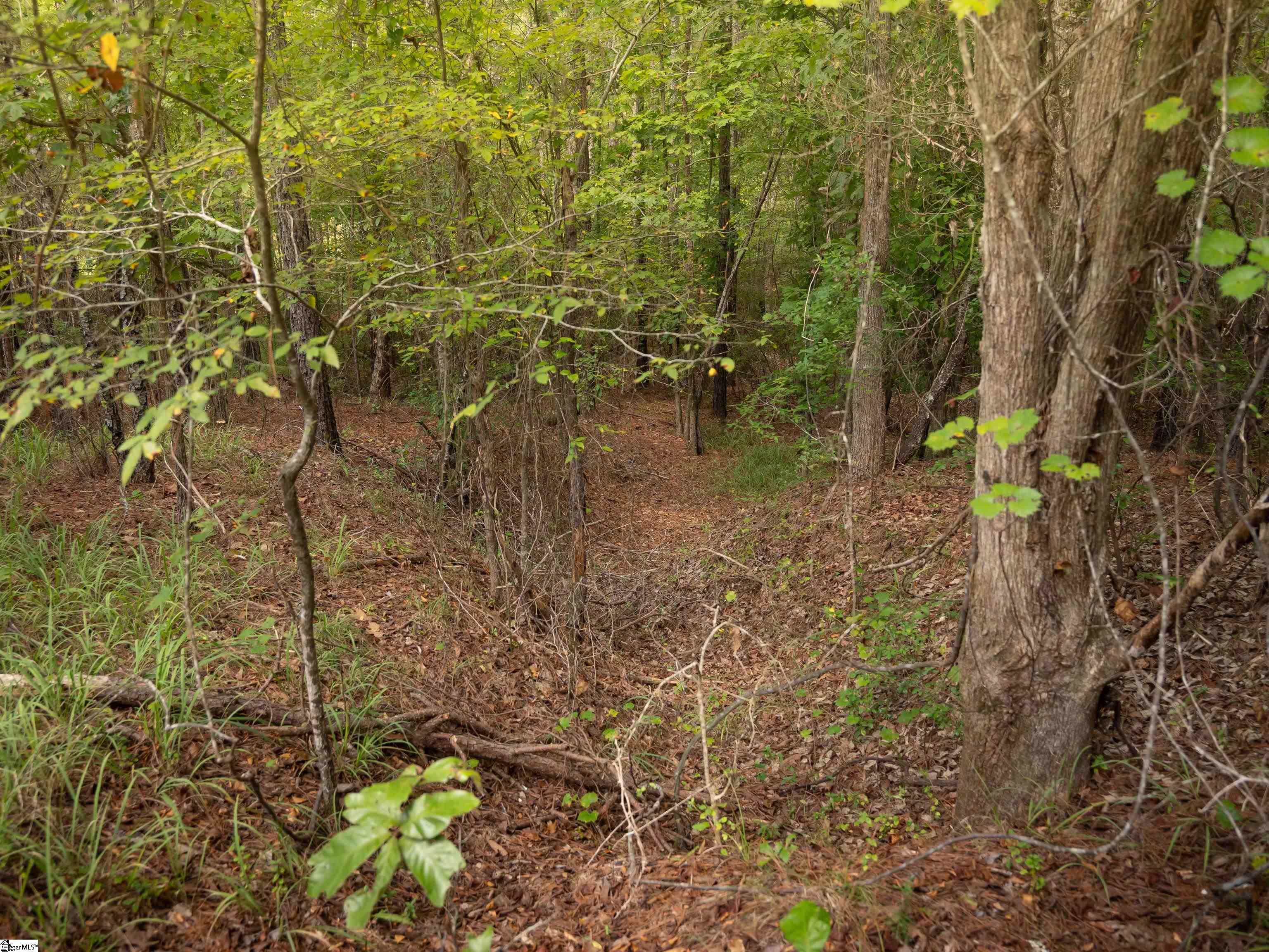 09 Neal Shoals Road Union, SC 29379
