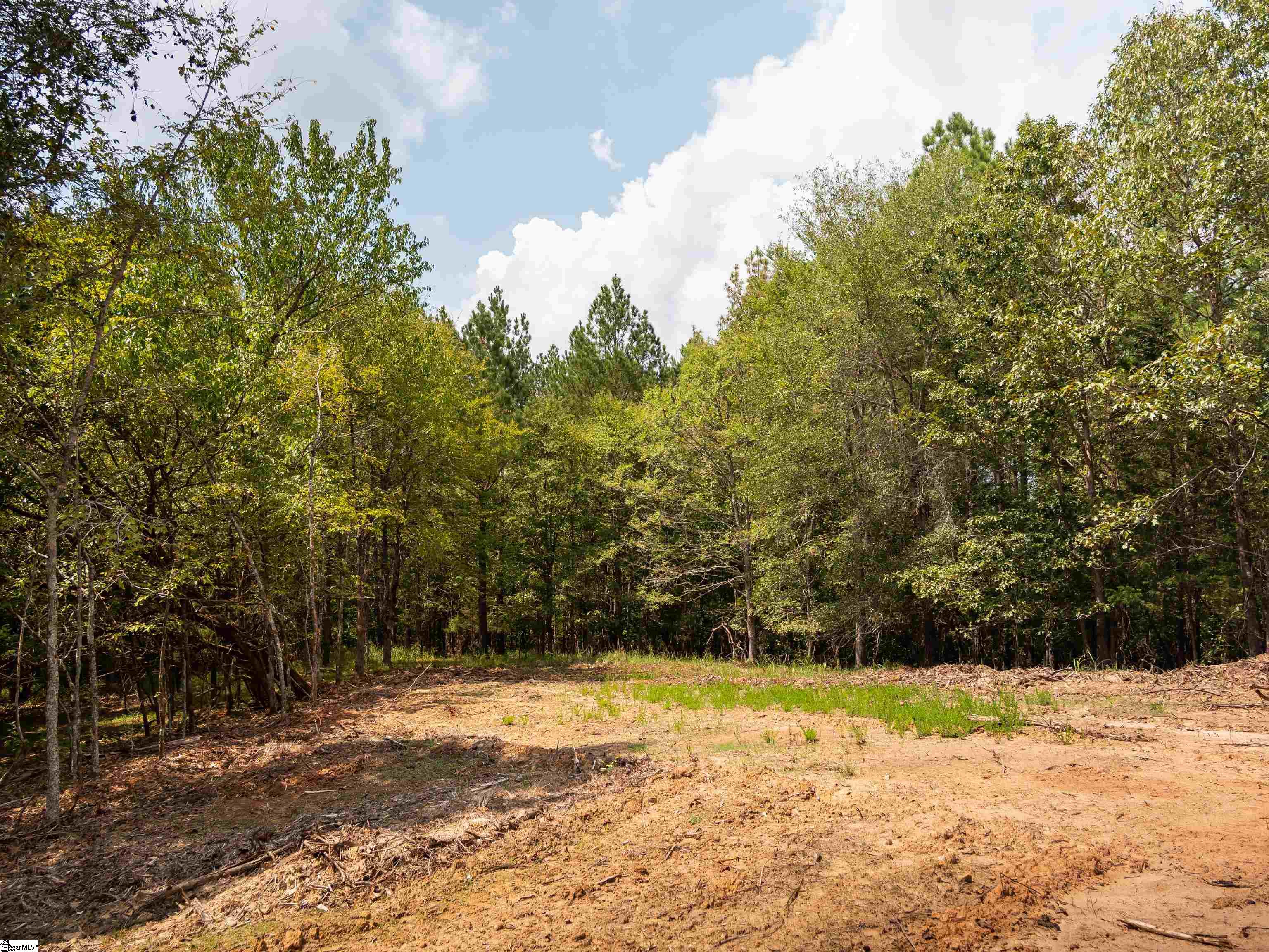 09 Neal Shoals Road Union, SC 29379