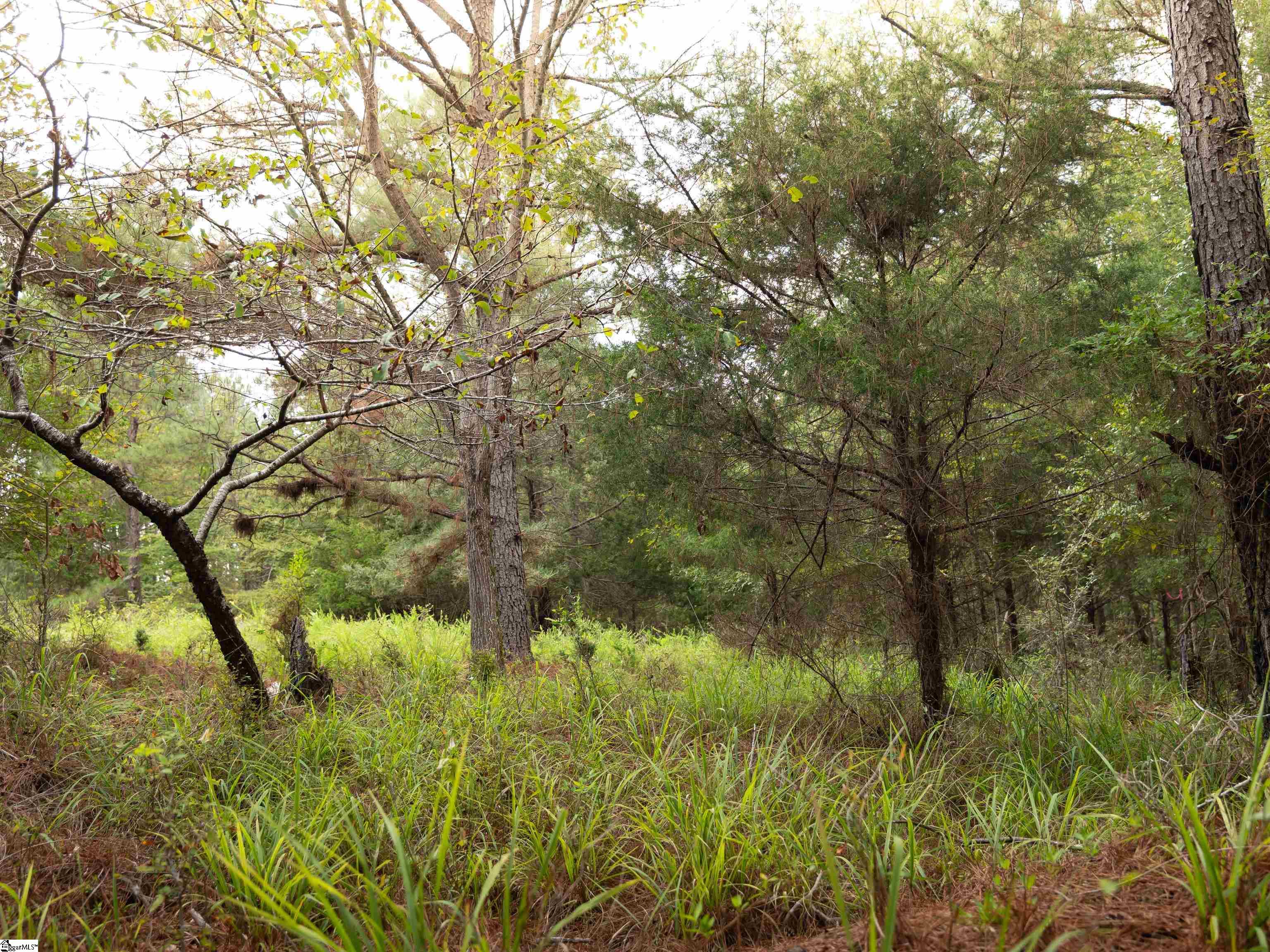 09 Neal Shoals Road Union, SC 29379