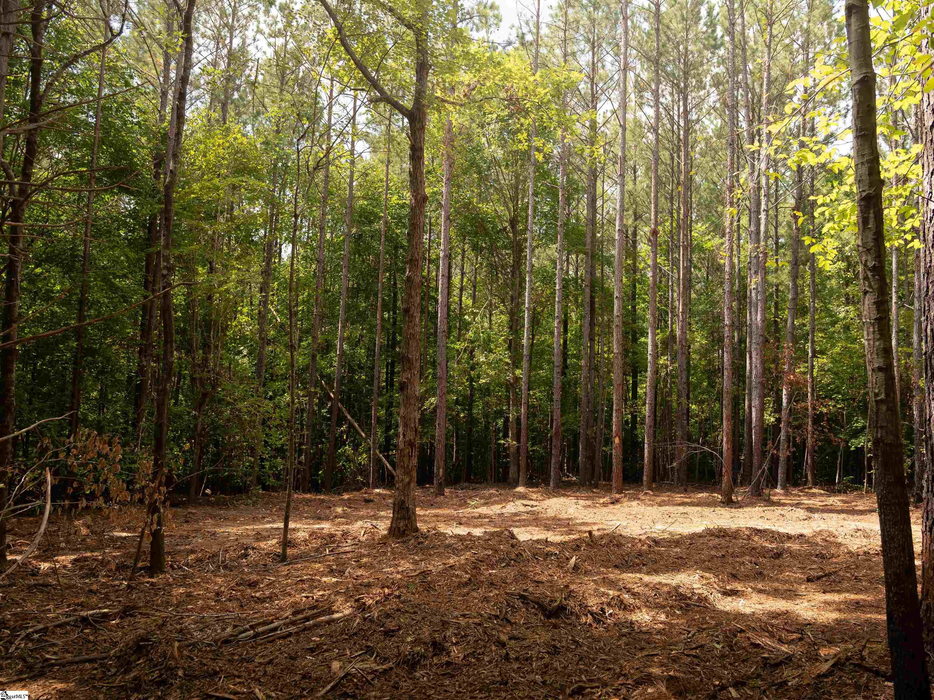 09 Neal Shoals Road Union, SC 29379