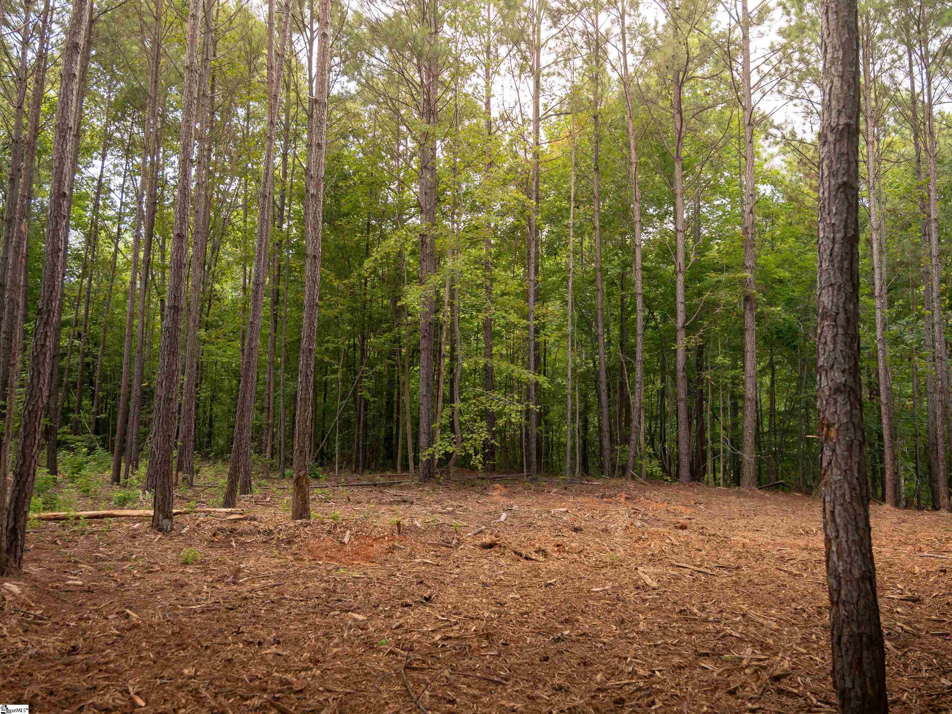 09 Neal Shoals Road Union, SC 29379