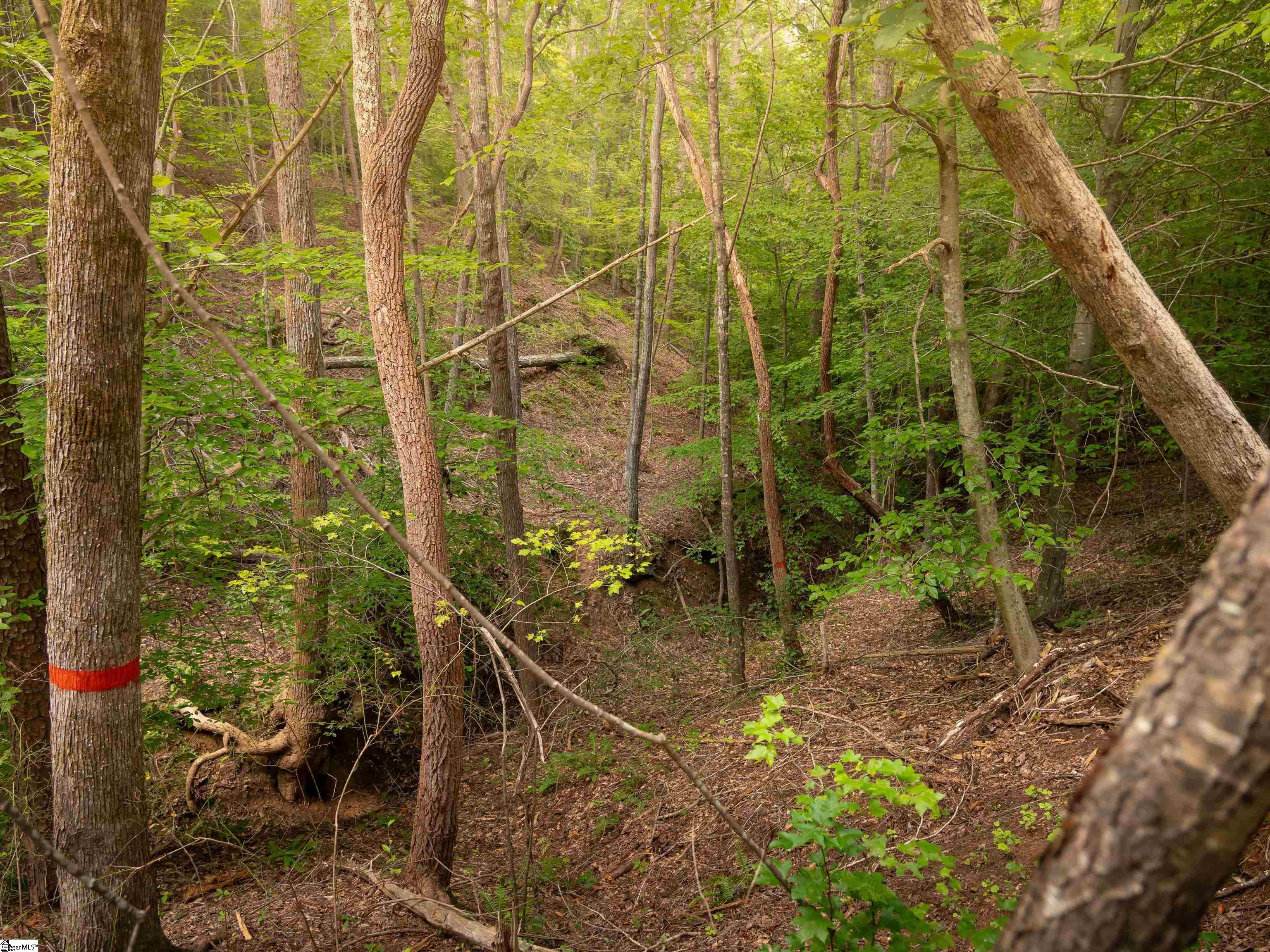 09 Neal Shoals Road Union, SC 29379