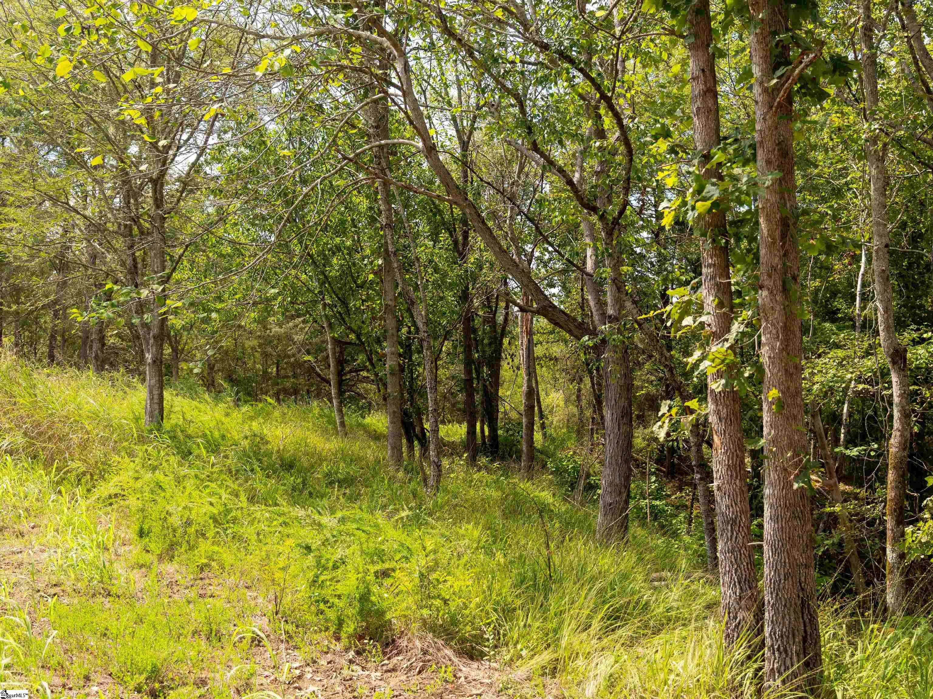 09 Neal Shoals Road Union, SC 29379