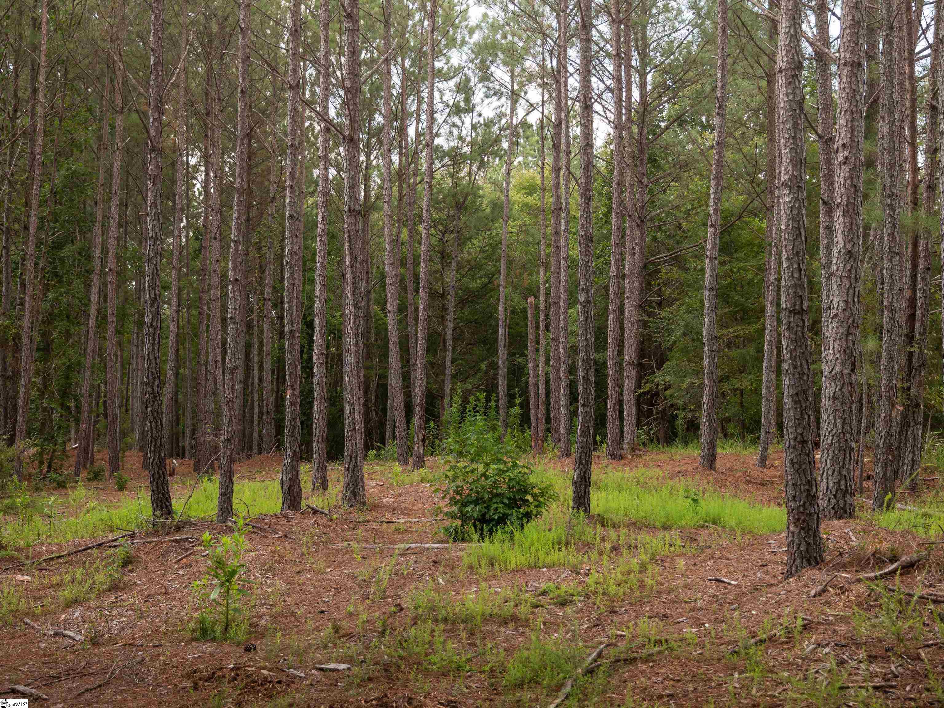 09 Neal Shoals Road Union, SC 29379