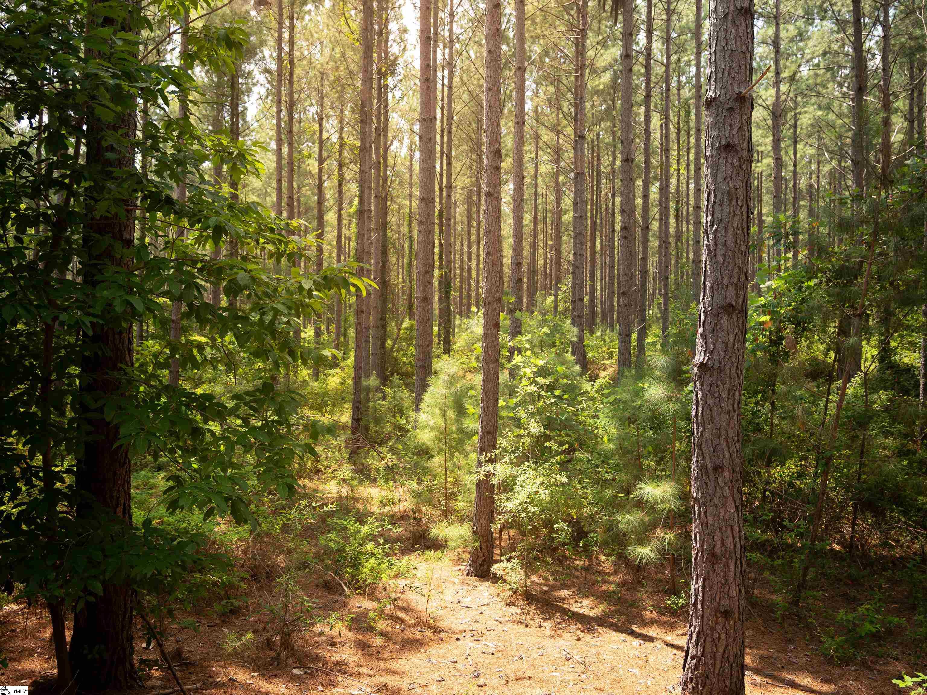 004 Gault Creek Road Jonesville, SC 29353