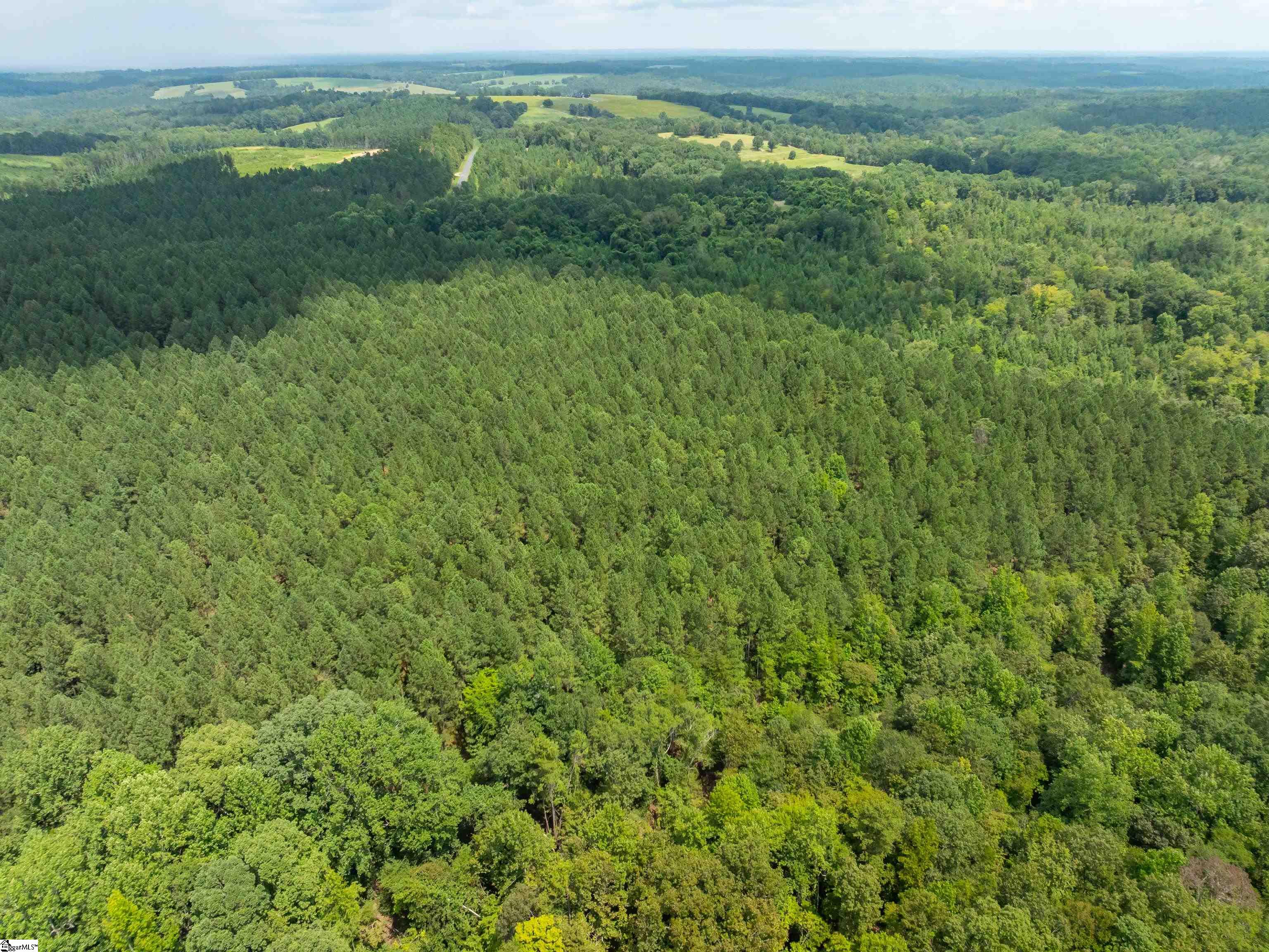004 Gault Creek Road Jonesville, SC 29353