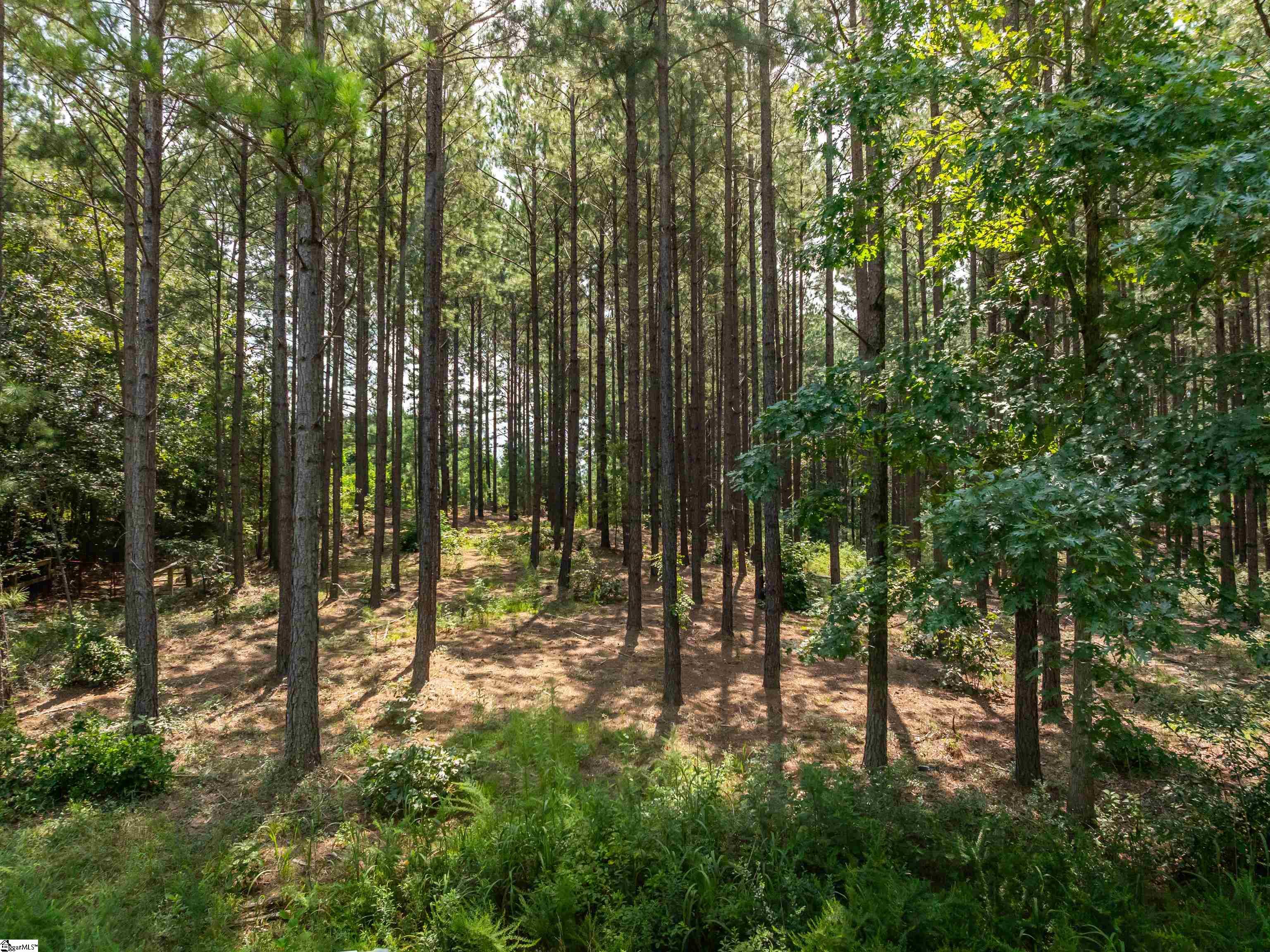 004 Gault Creek Road Jonesville, SC 29353
