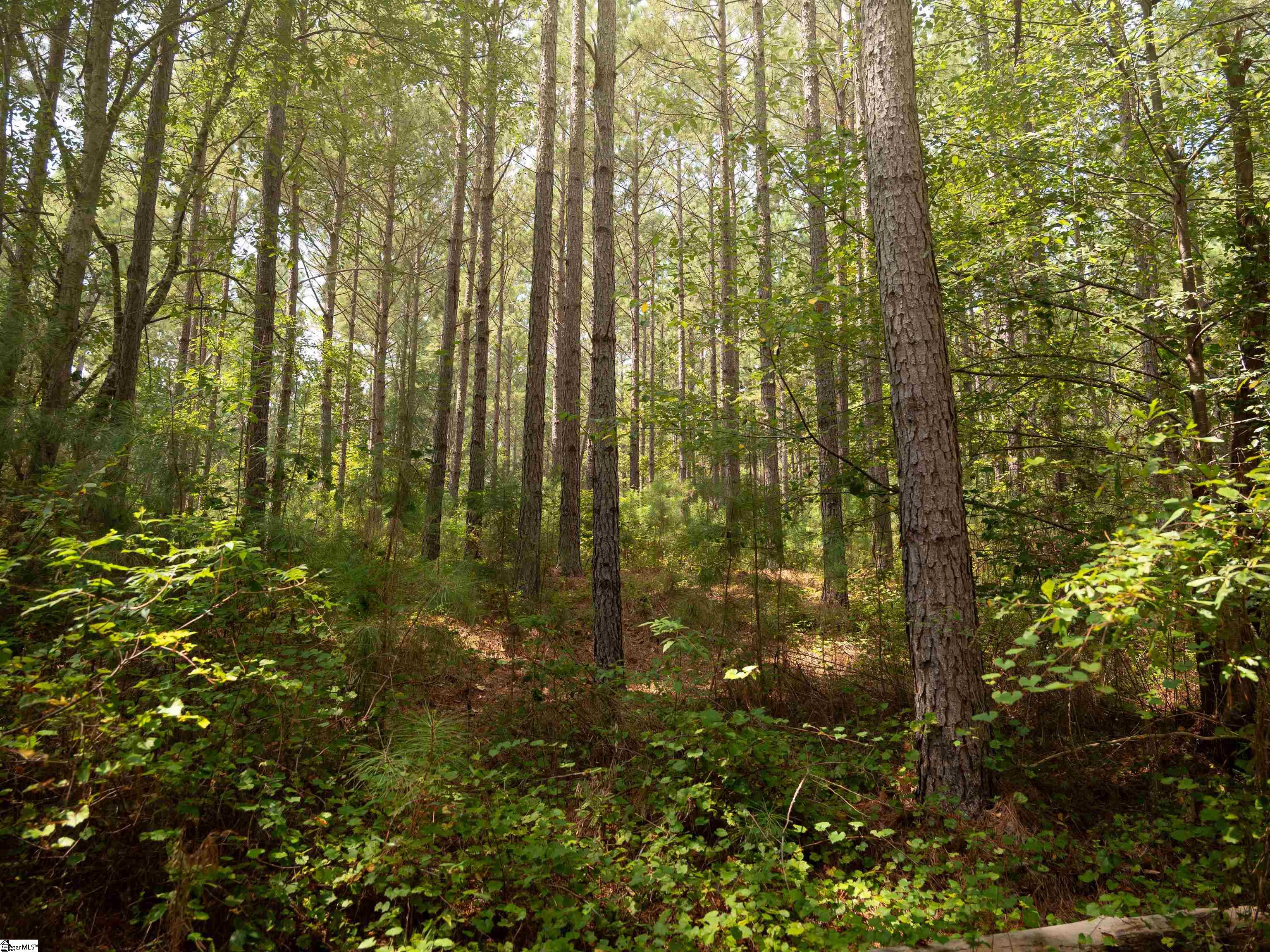 004 Gault Creek Road Jonesville, SC 29353