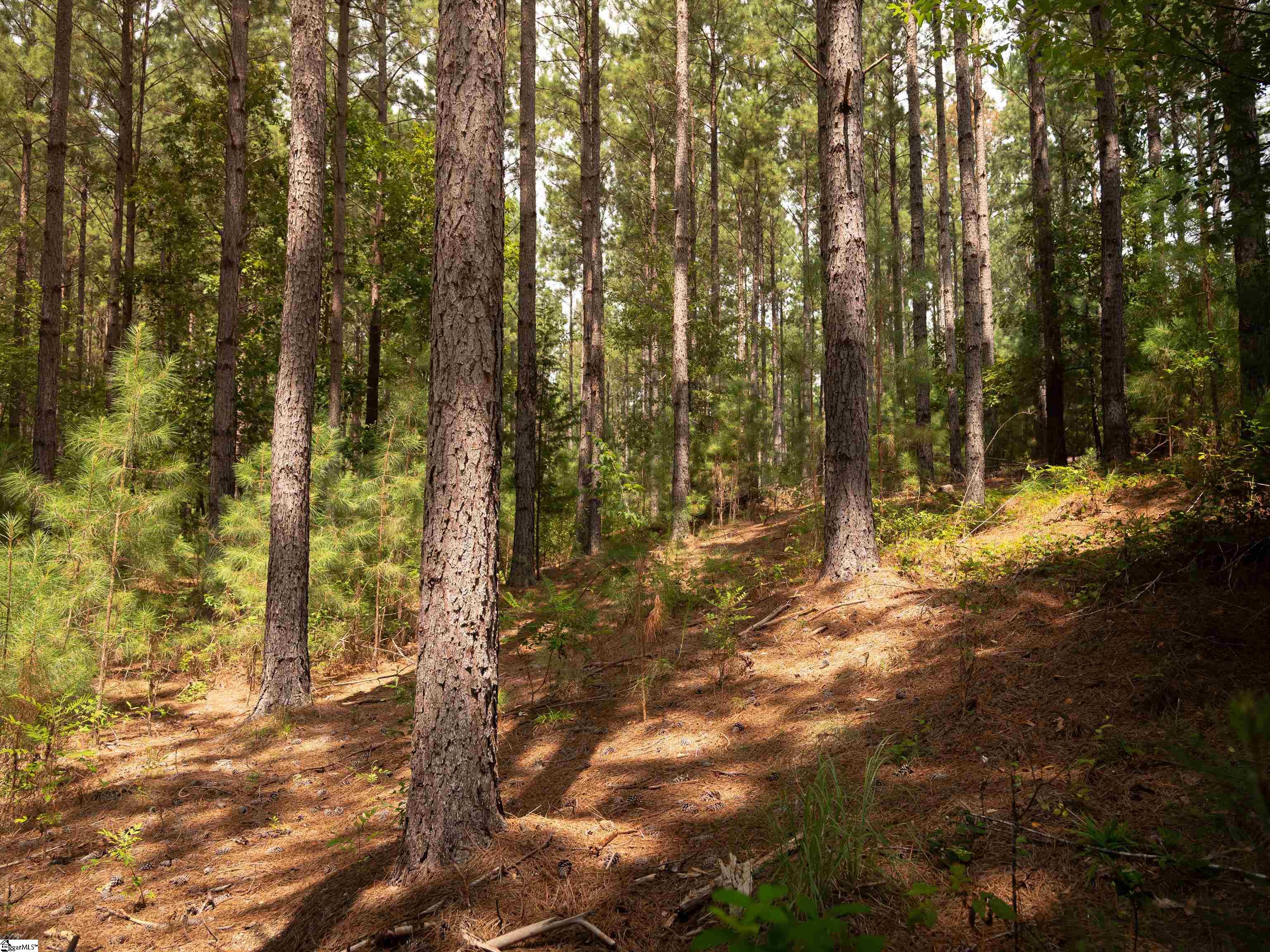 004 Gault Creek Road Jonesville, SC 29353