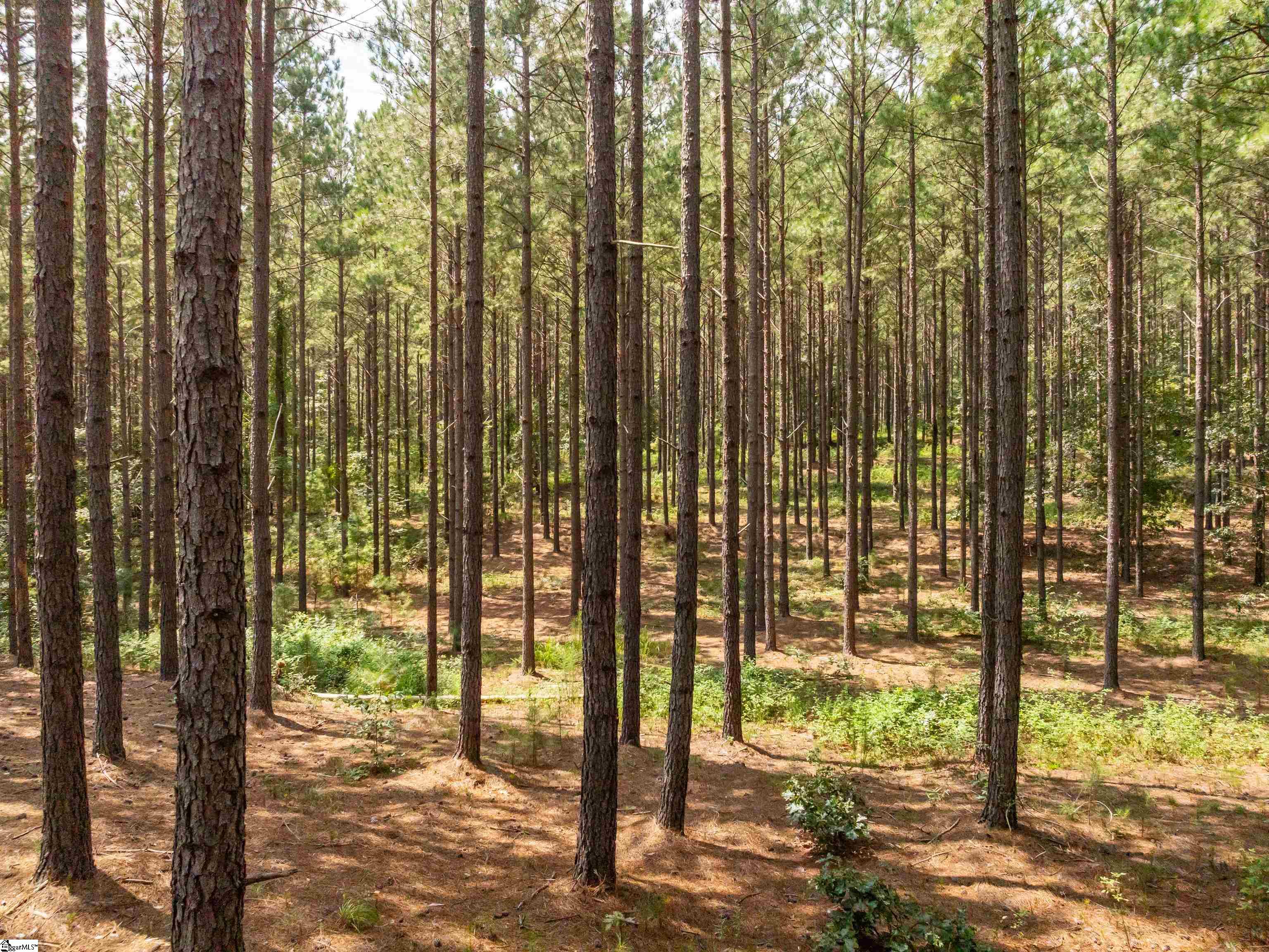 004 Gault Creek Road Jonesville, SC 29353