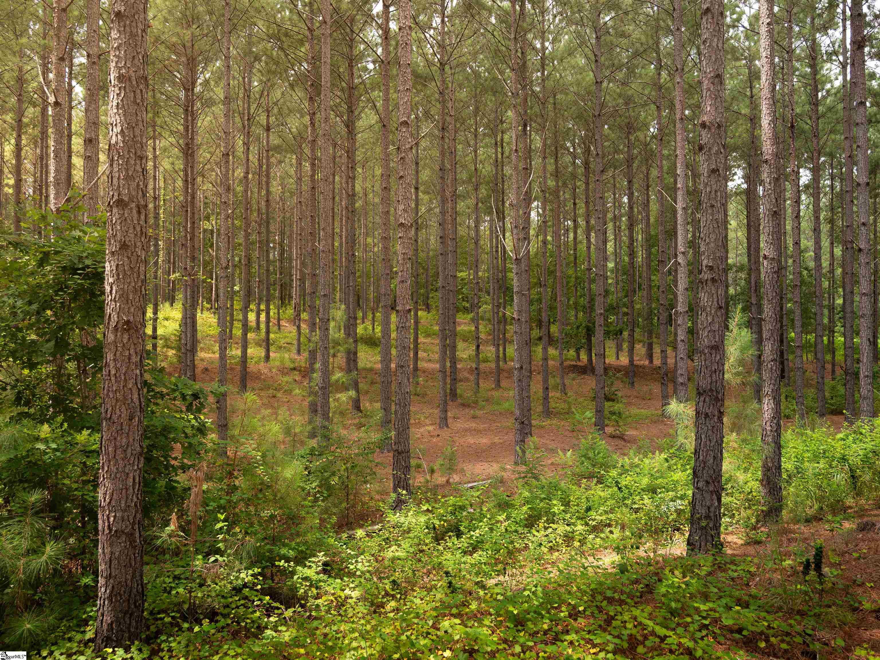 004 Gault Creek Road Jonesville, SC 29353