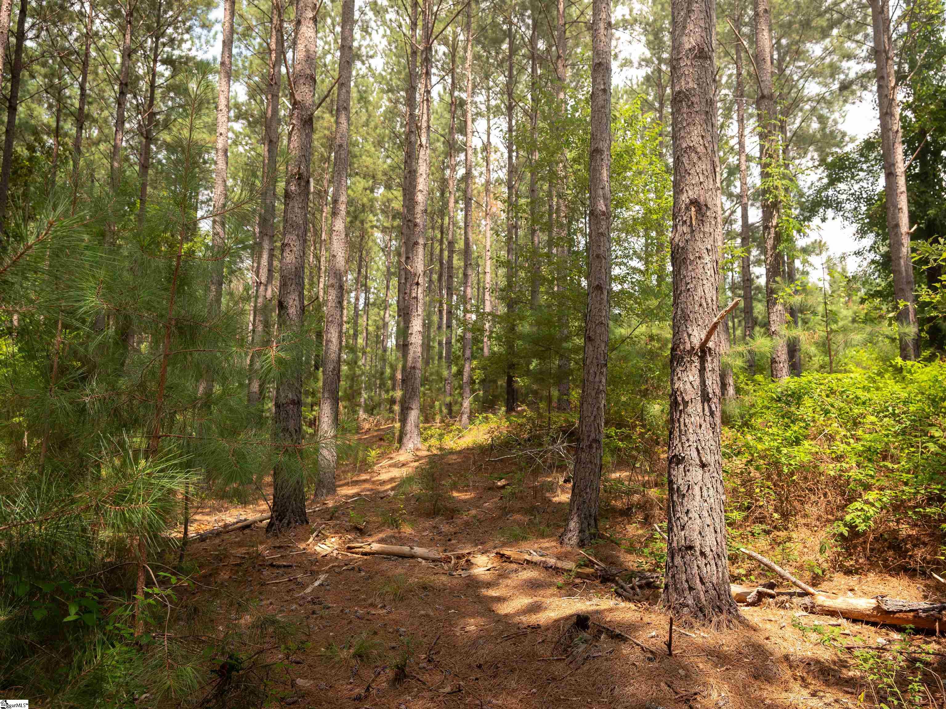 004 Gault Creek Road Jonesville, SC 29353