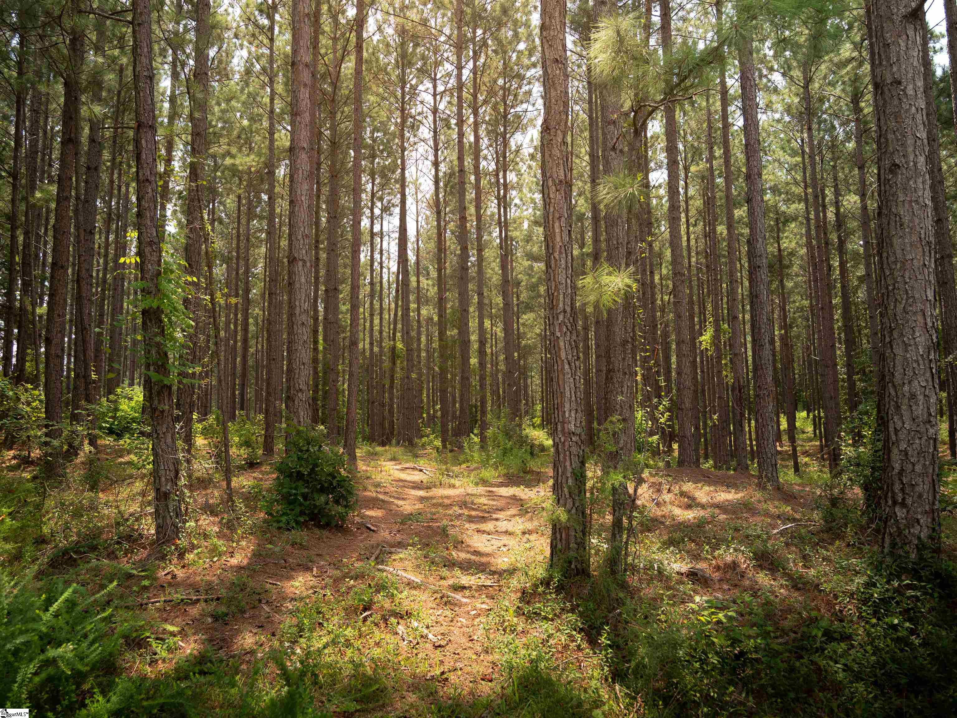 004 Gault Creek Road Jonesville, SC 29353