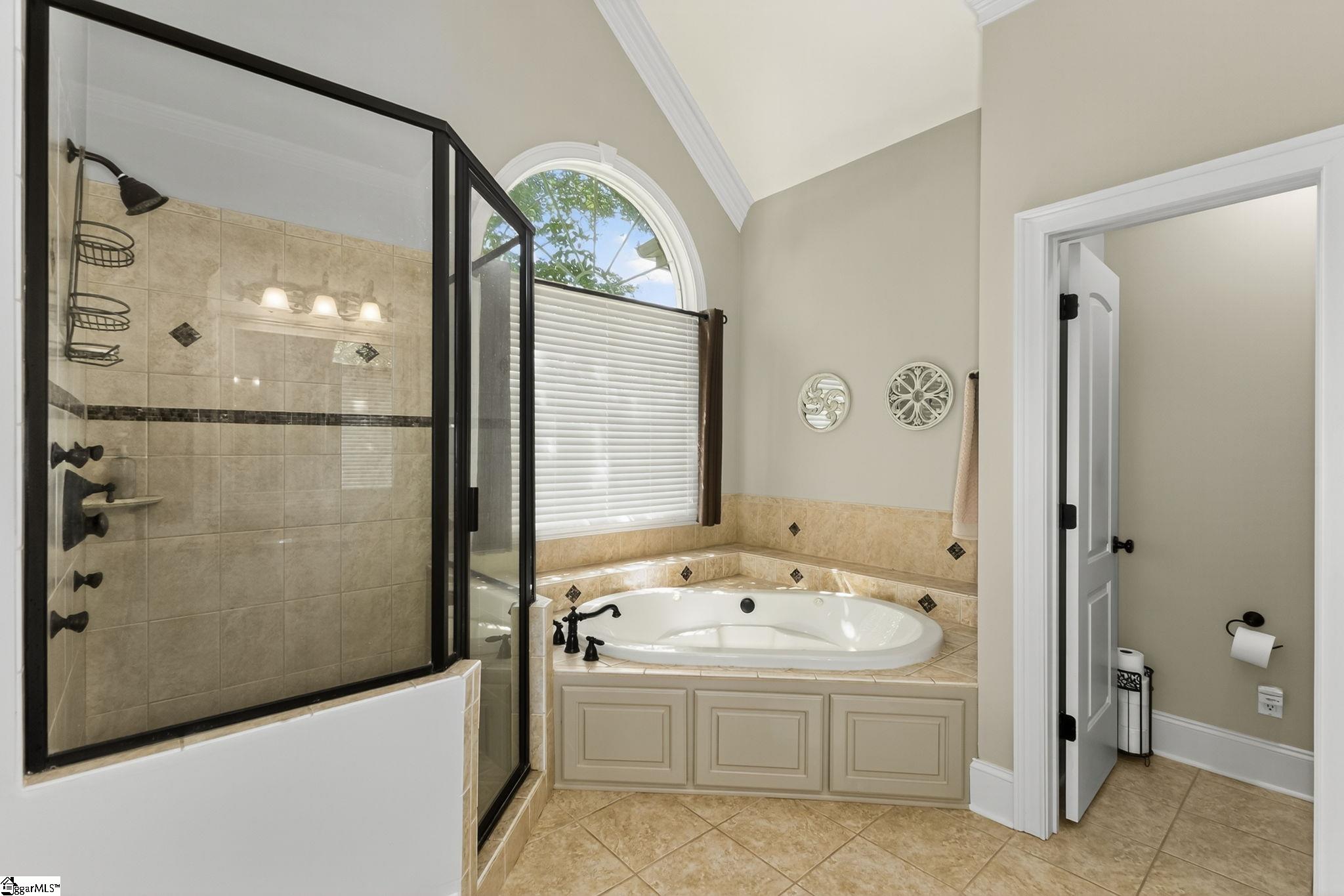 223 Chestnut Springs Way Williamston, SC 29697