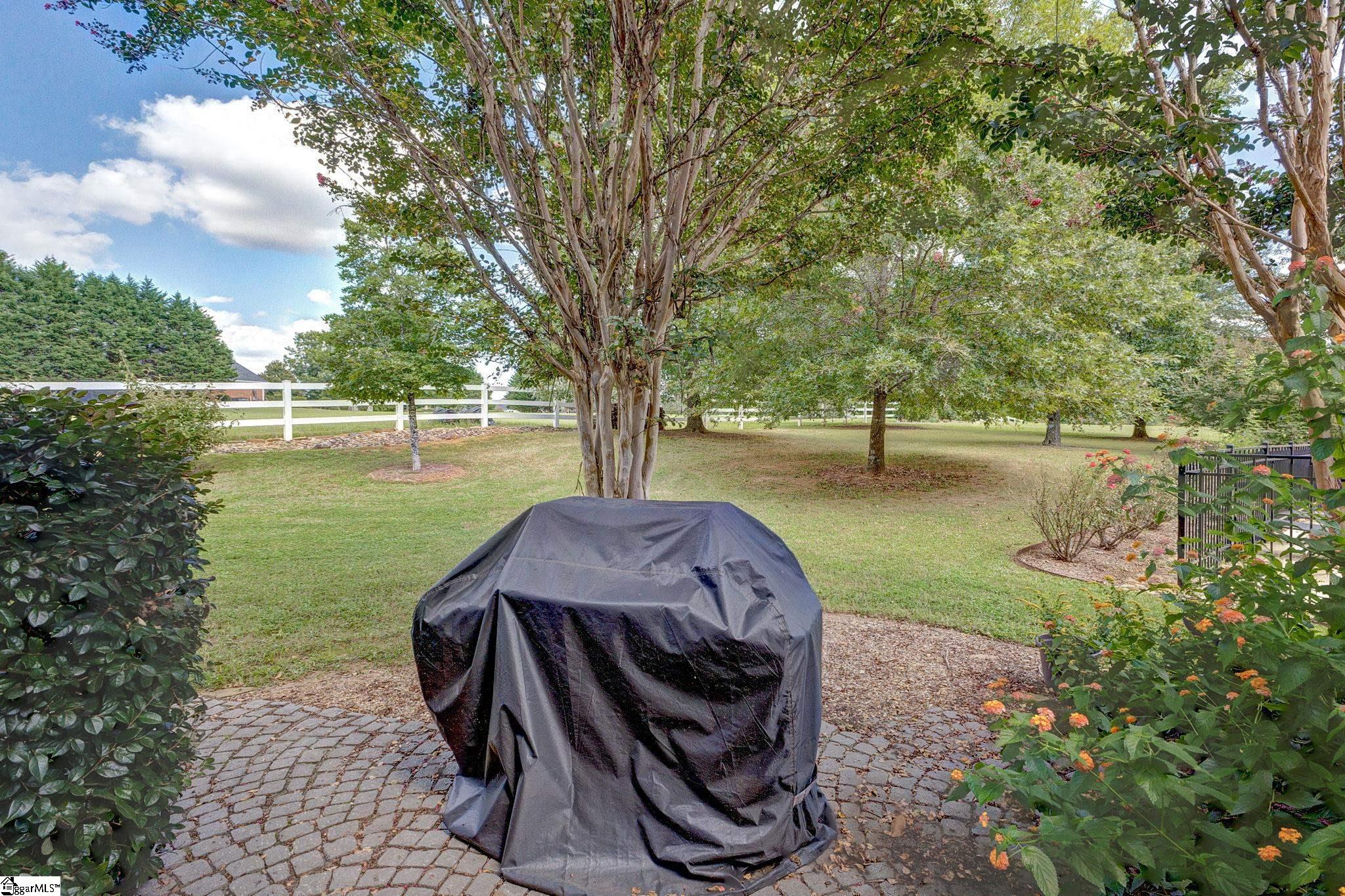 223 Chestnut Springs Way Williamston, SC 29697
