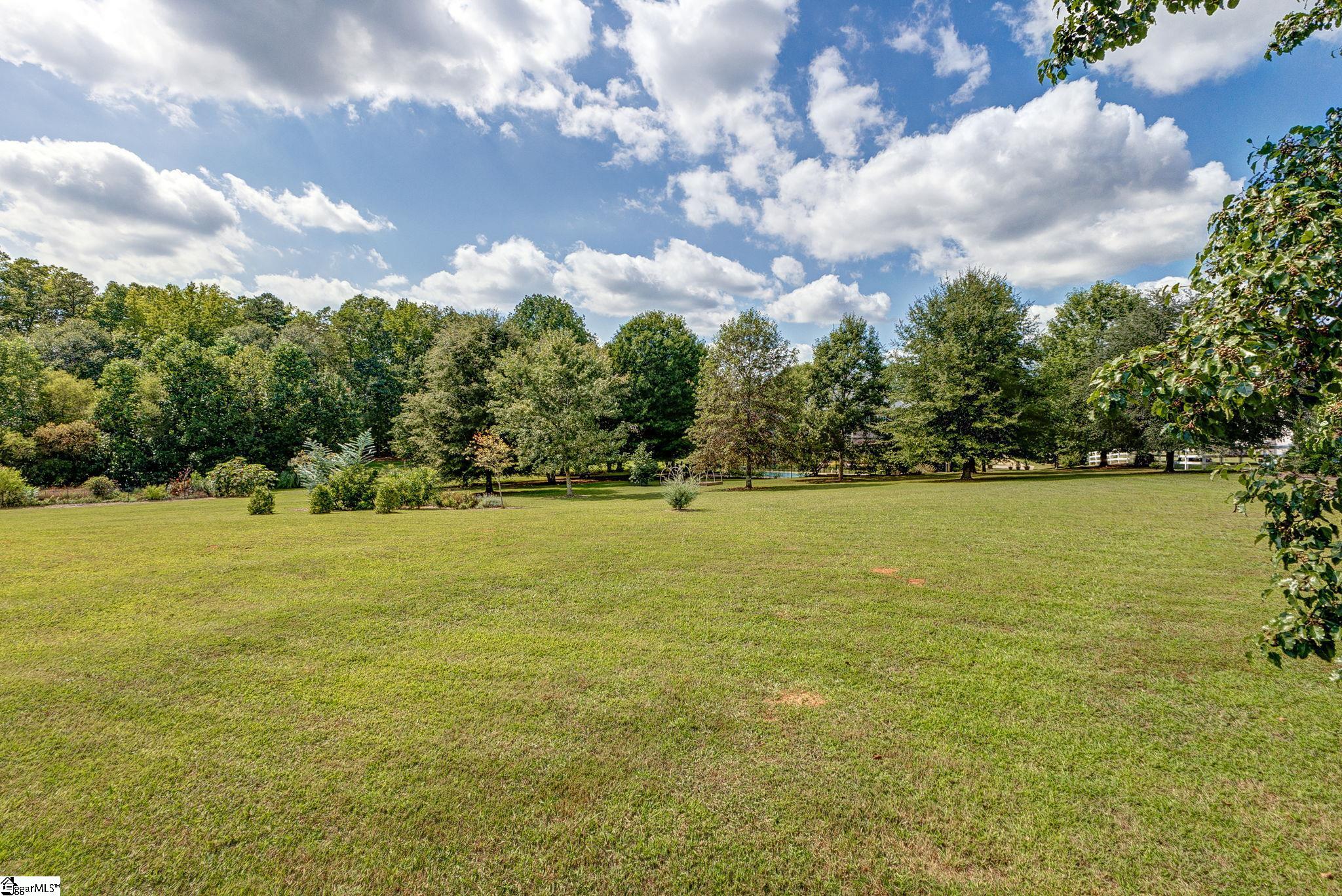 223 Chestnut Springs Way Williamston, SC 29697