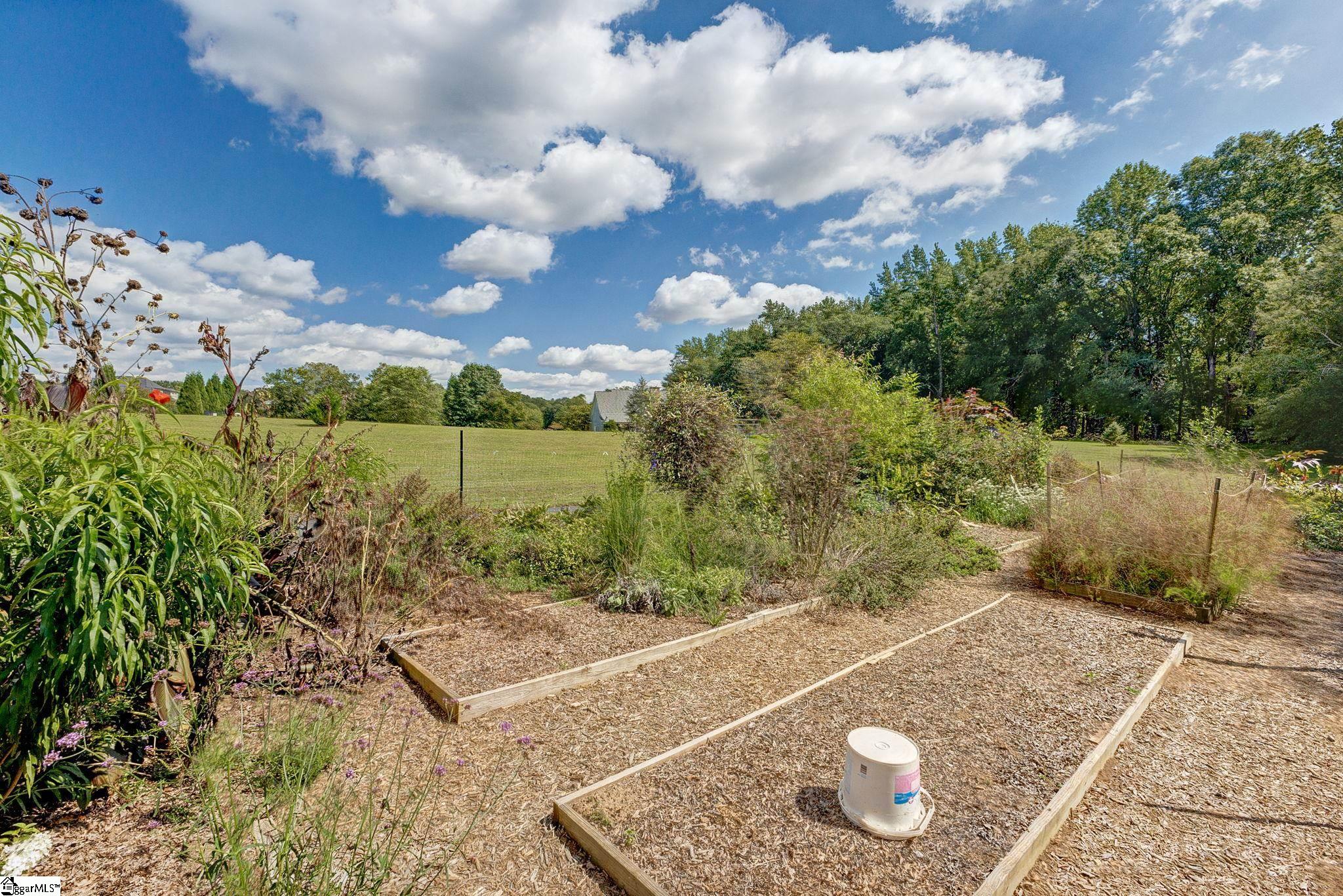 223 Chestnut Springs Way Williamston, SC 29697