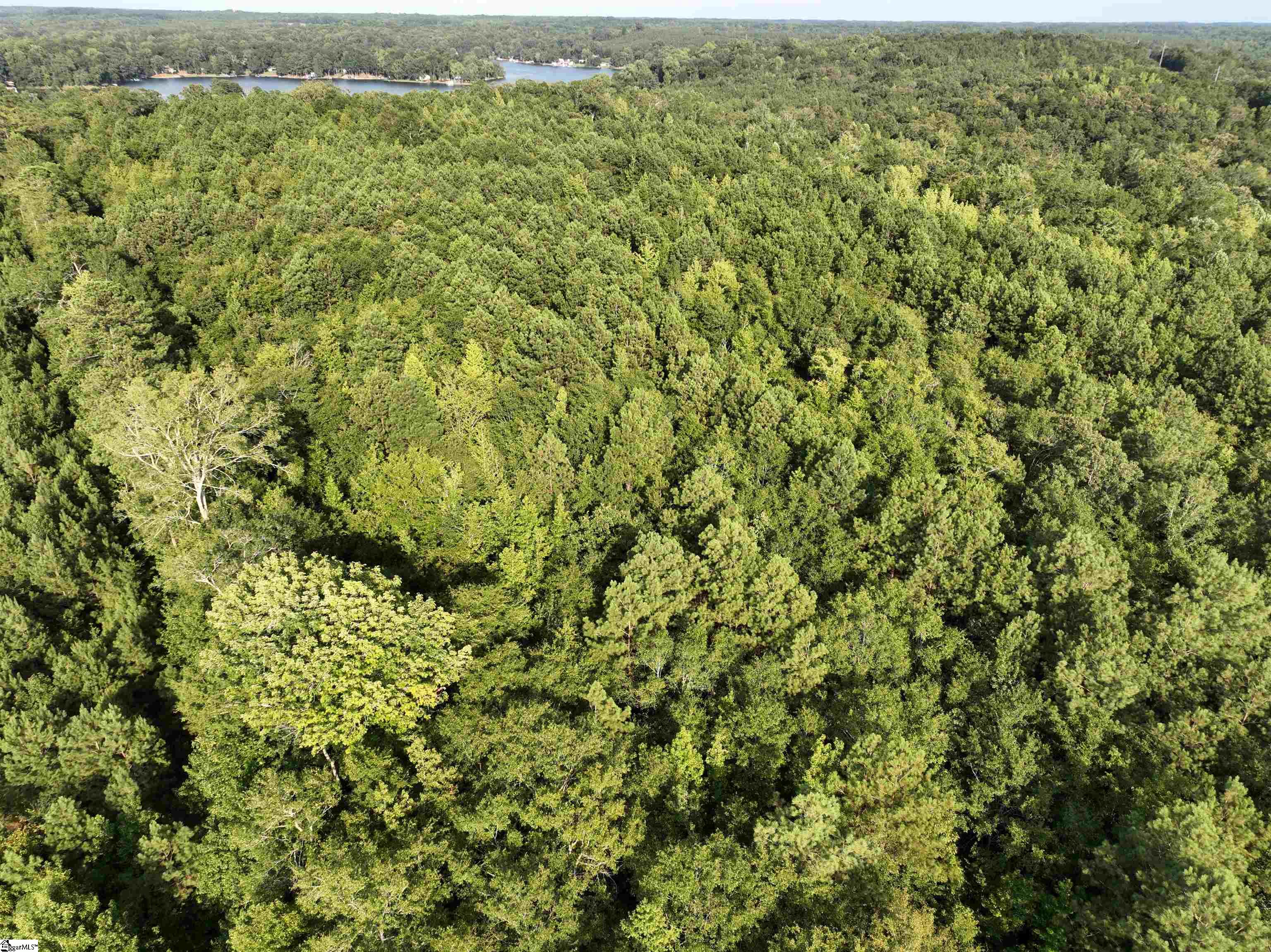 1428 Broadway Lake Anderson, SC 29621