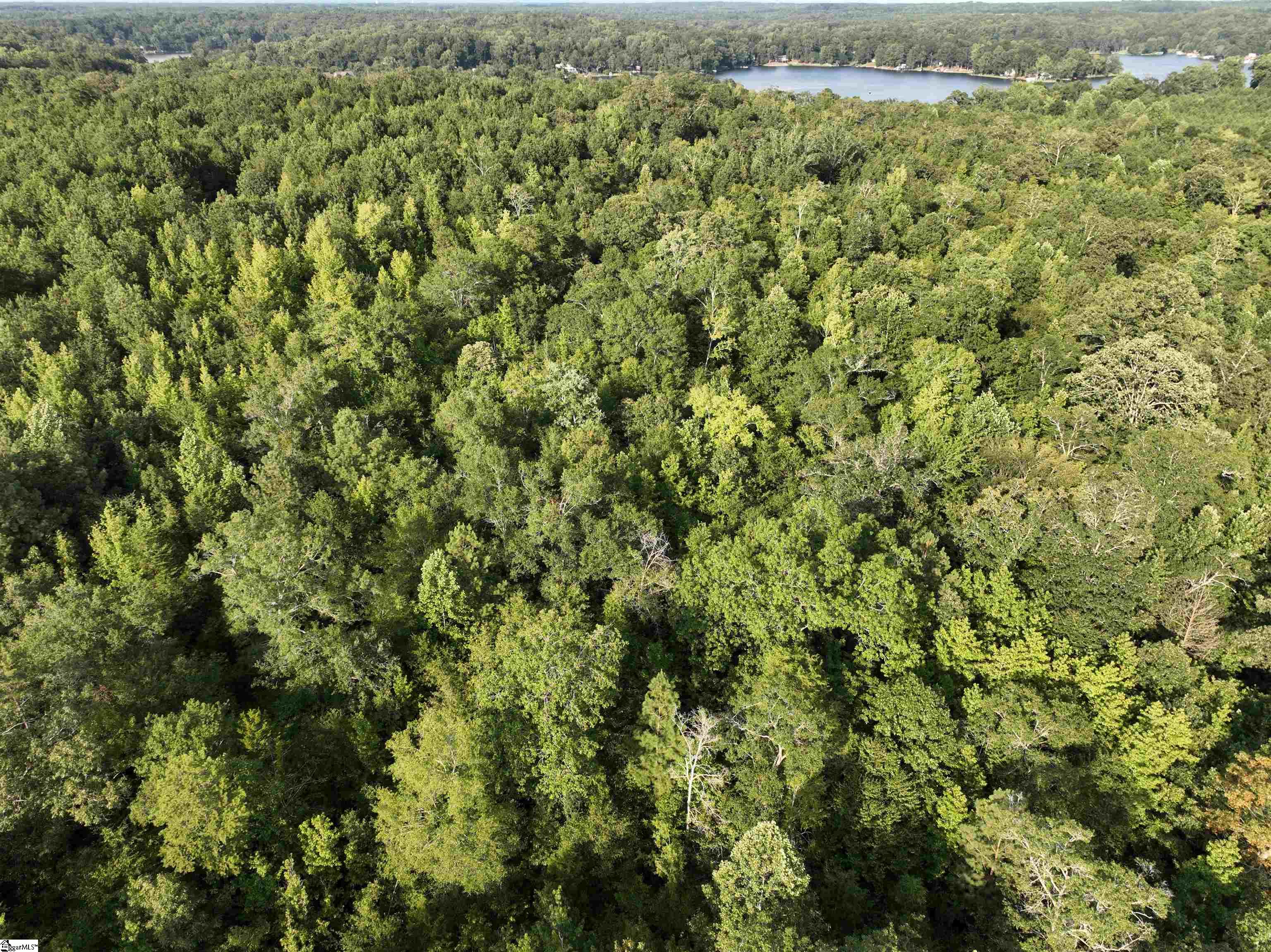 1428 Broadway Lake Anderson, SC 29621