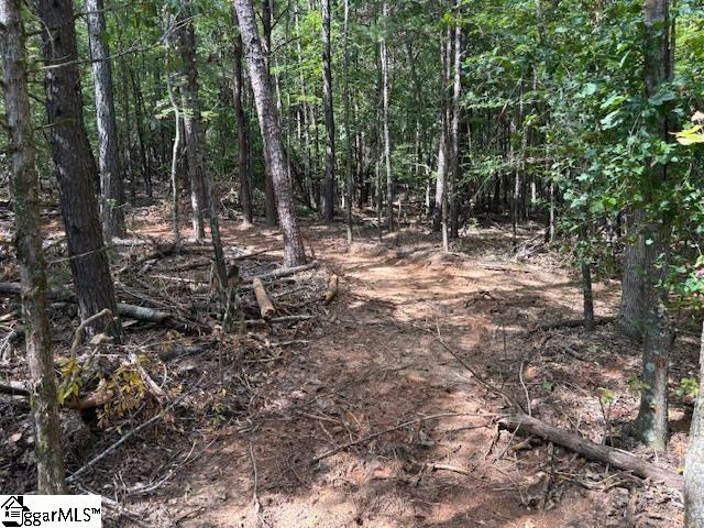 00 Ball Park Road Enoree, SC 29335