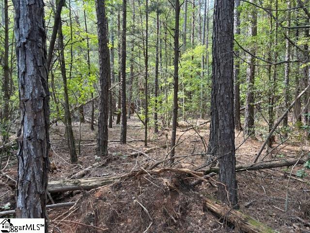 00 Ball Park Road Enoree, SC 29335
